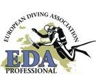 eda professional  