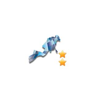 cmas 2*