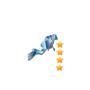 AI cmas 4*