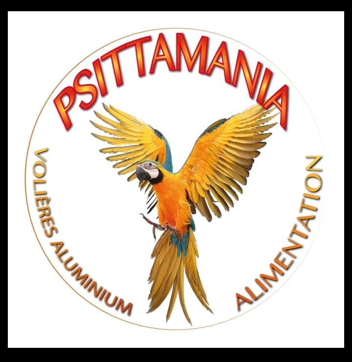 Logo psitta jpg