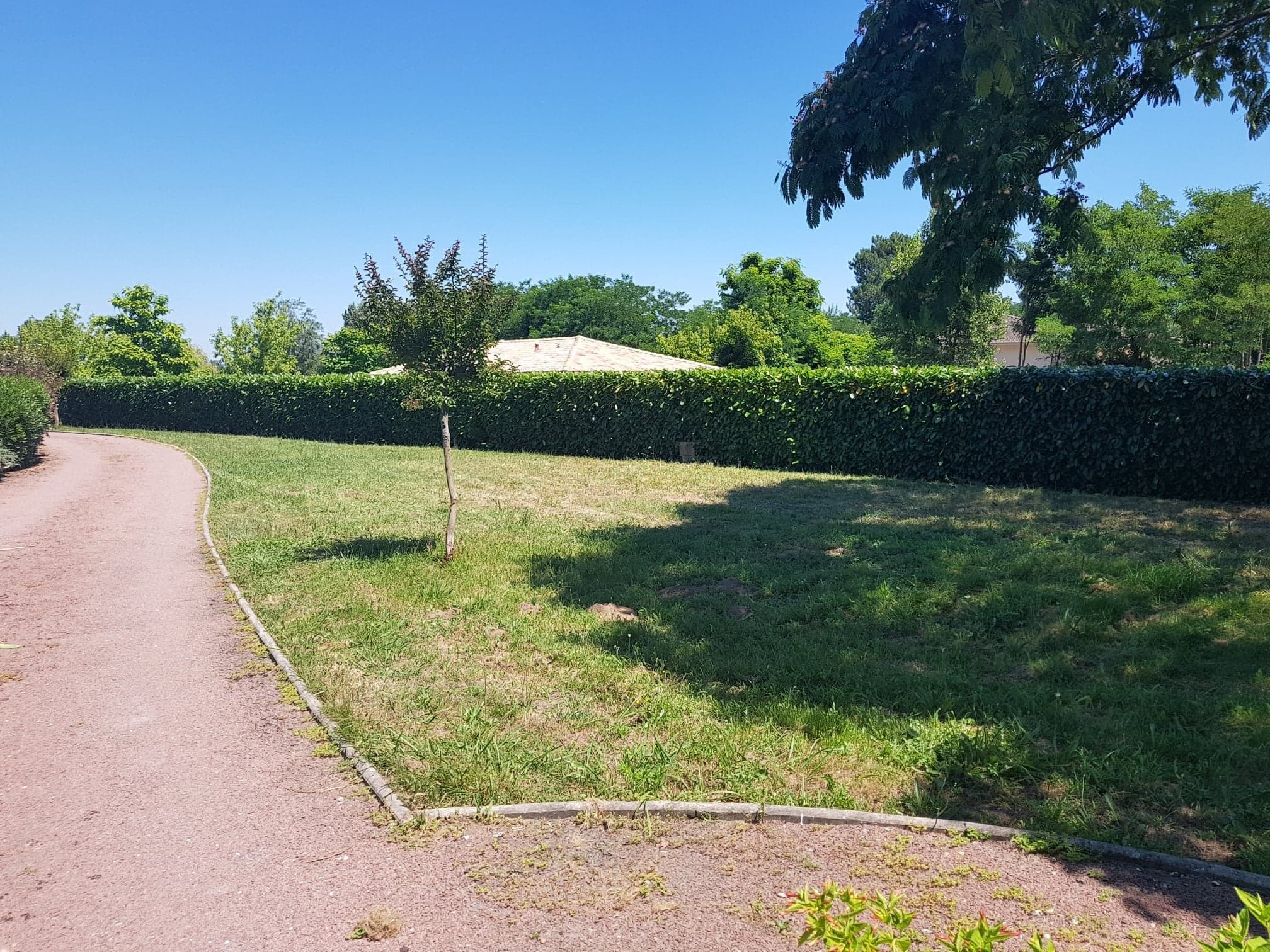 57092818 2231705420414667 6868307276499779584 n