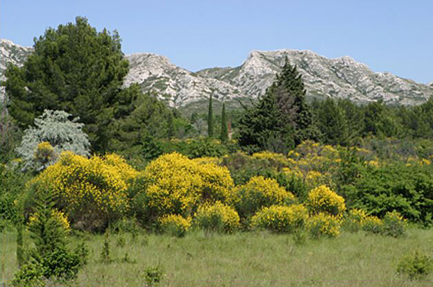 Vallee des baux