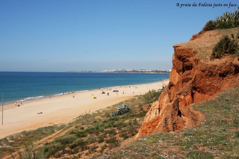 Plages-A-praia-da-Falesia-juste-en-face