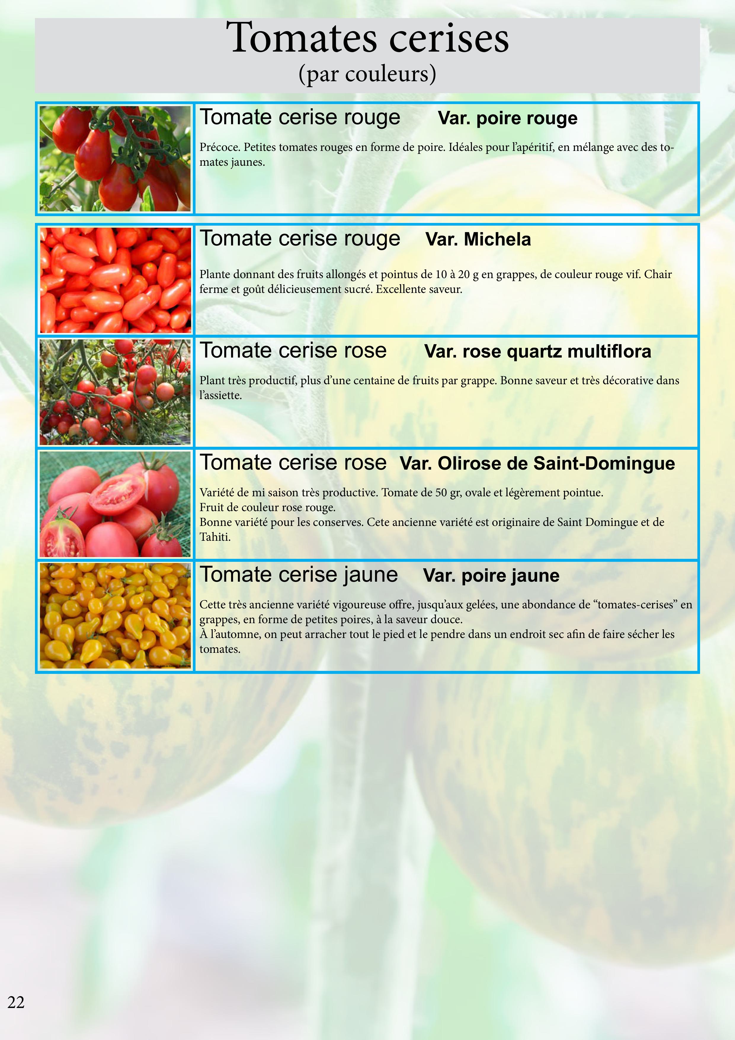Catalogue images 45