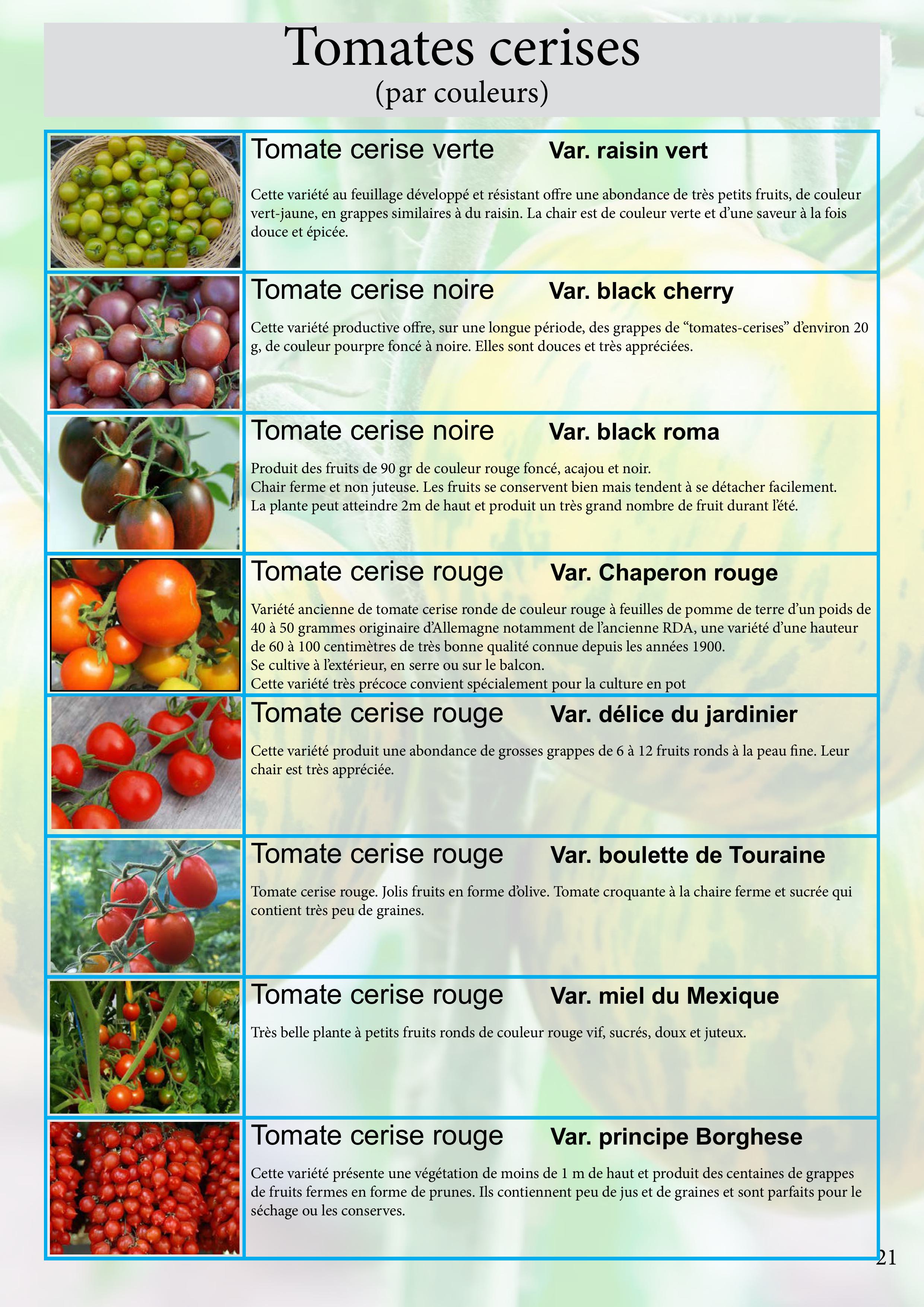 Catalogue images 44