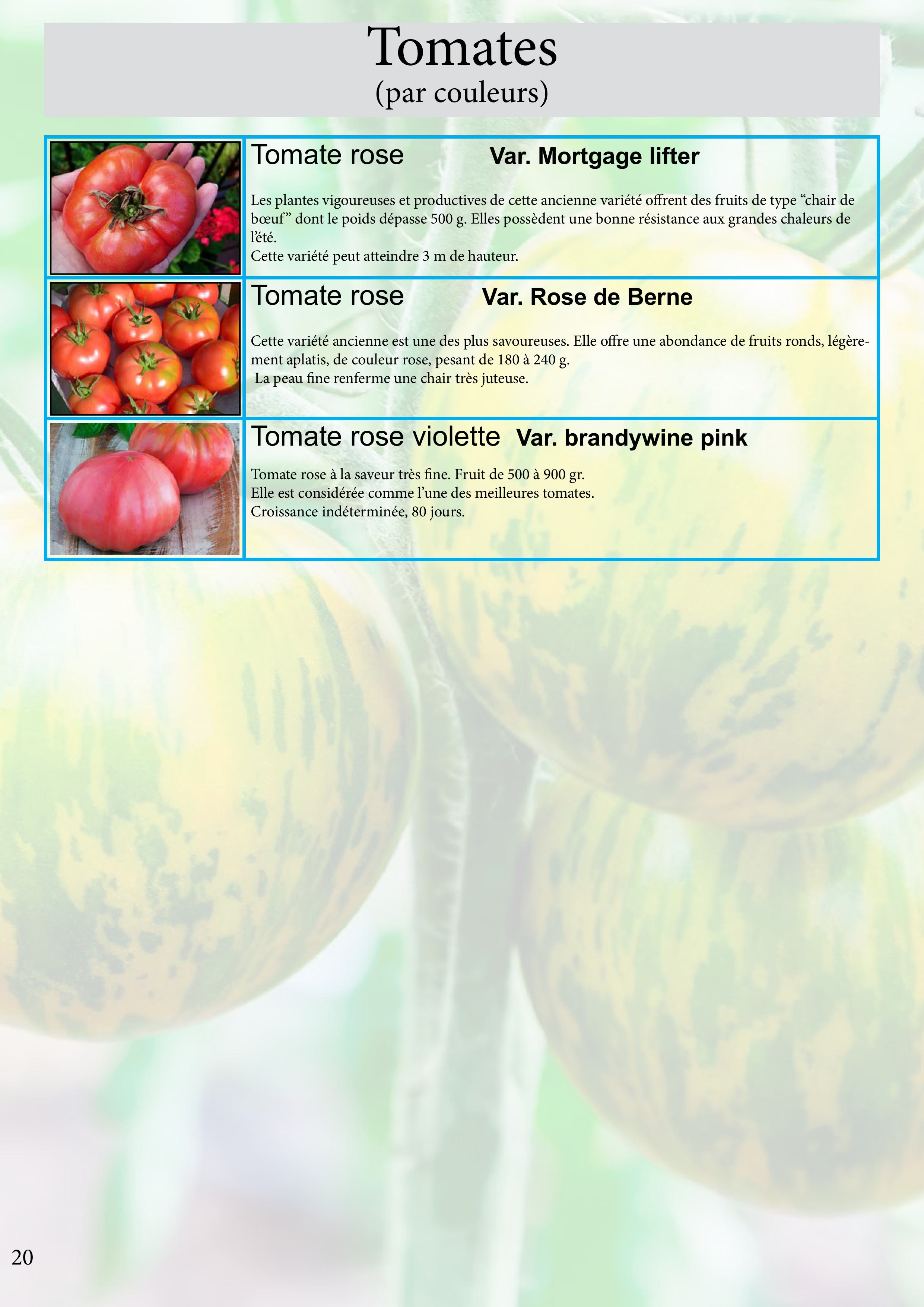 Catalogue images 42