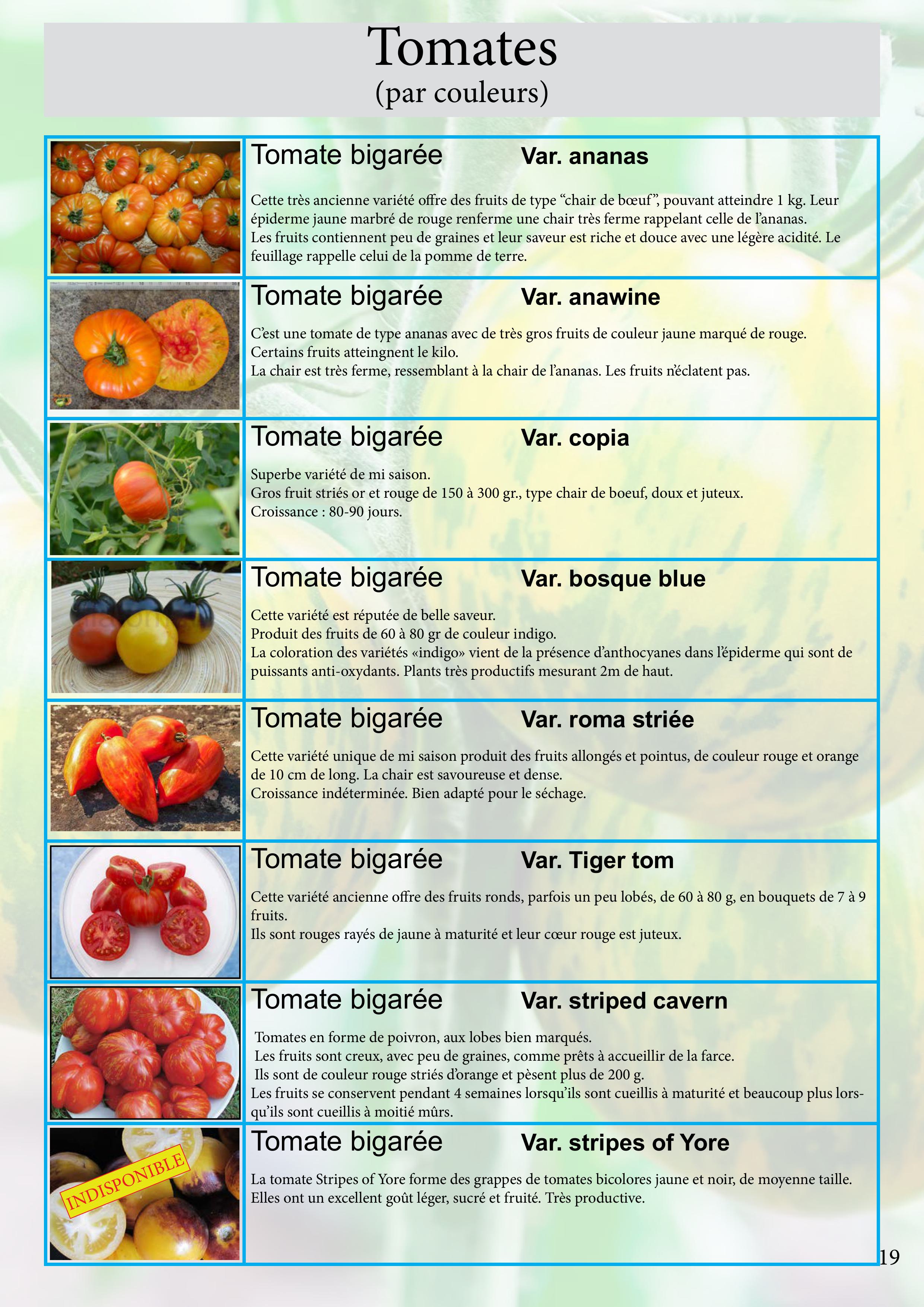 Catalogue images 41