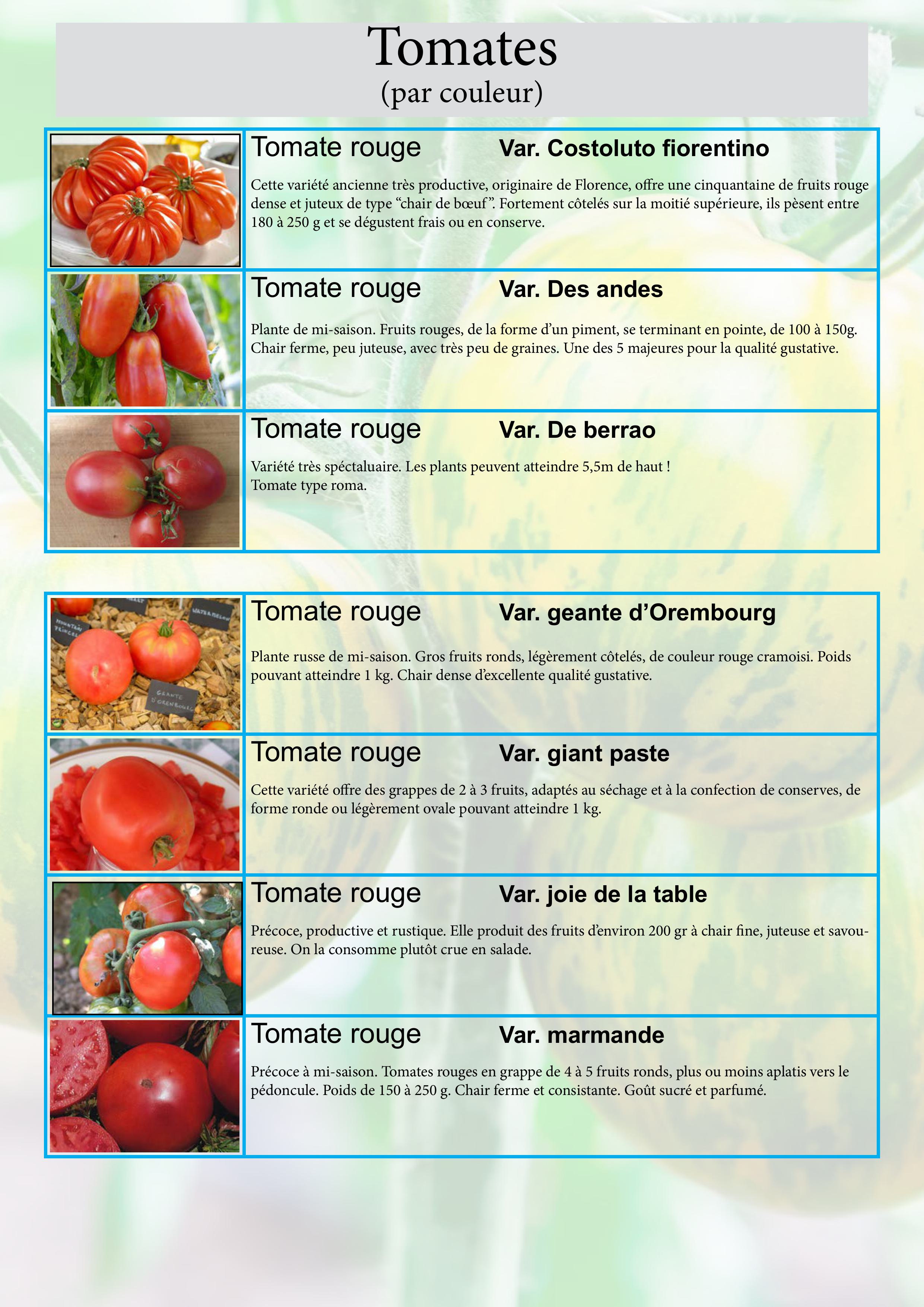 Catalogue images 39