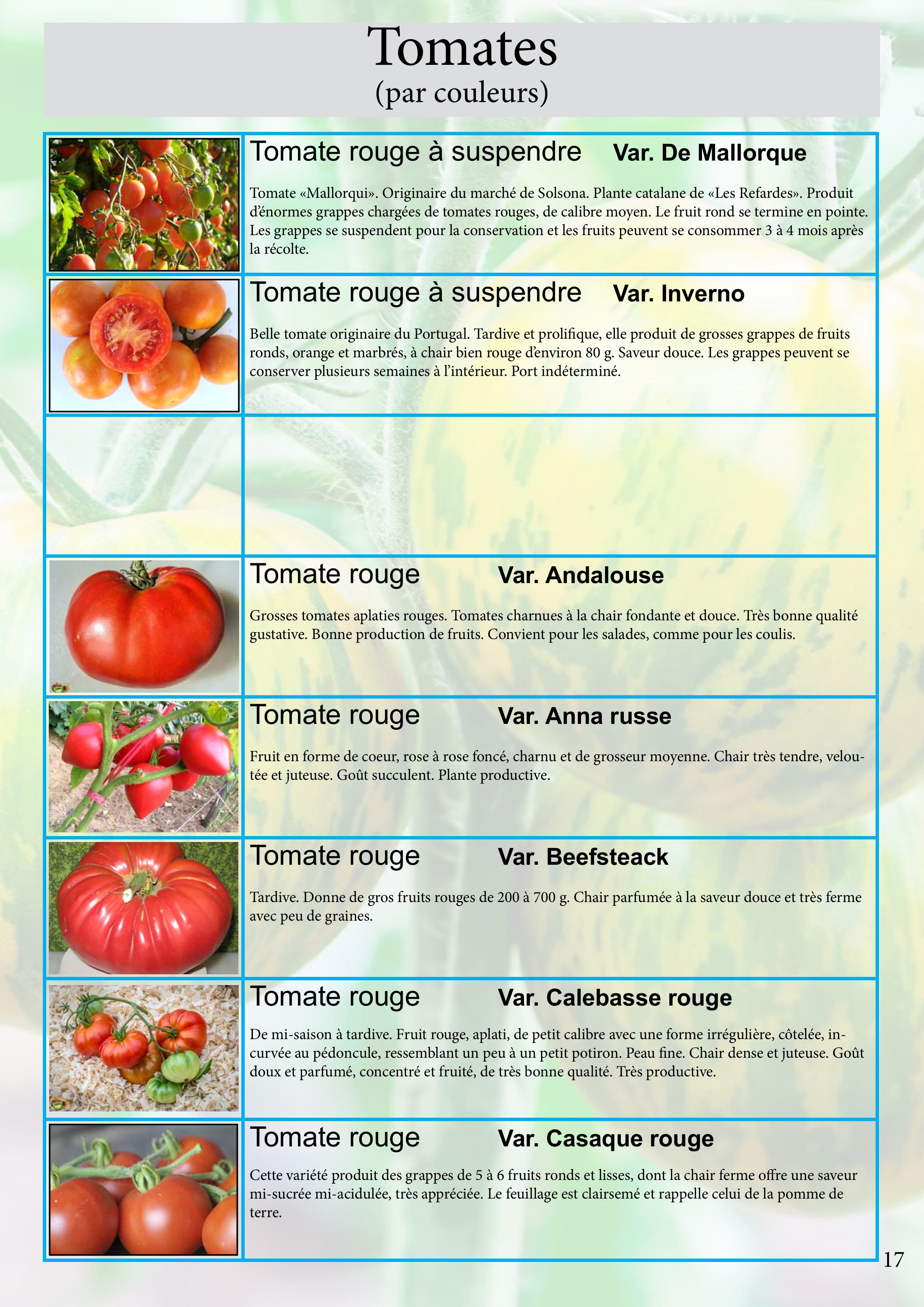 Catalogue images 38