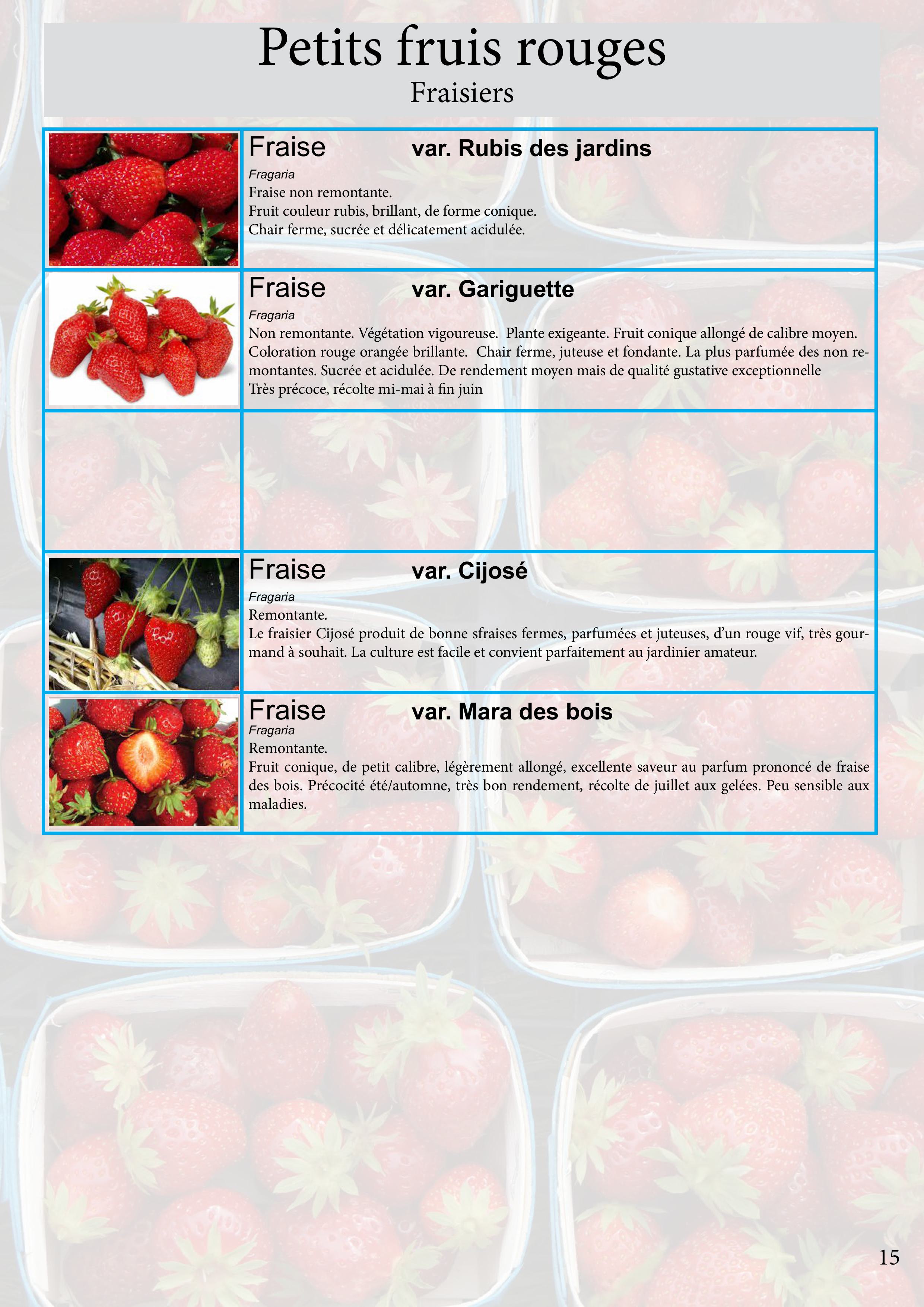 Catalogue images 36