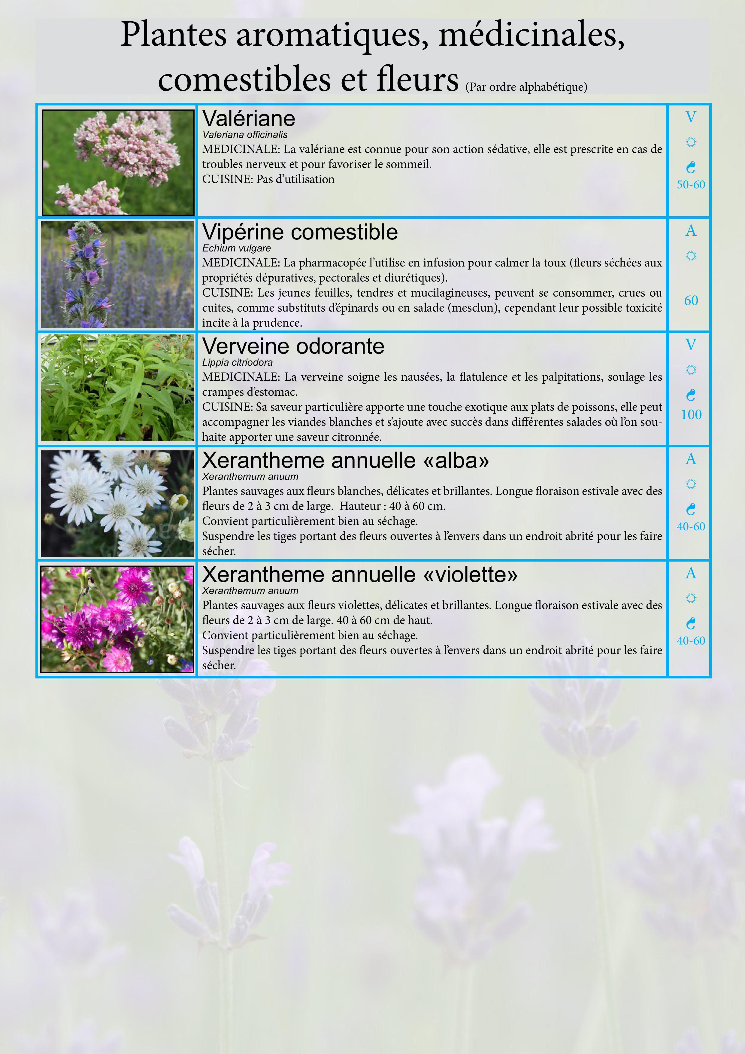 Catalogue images 33