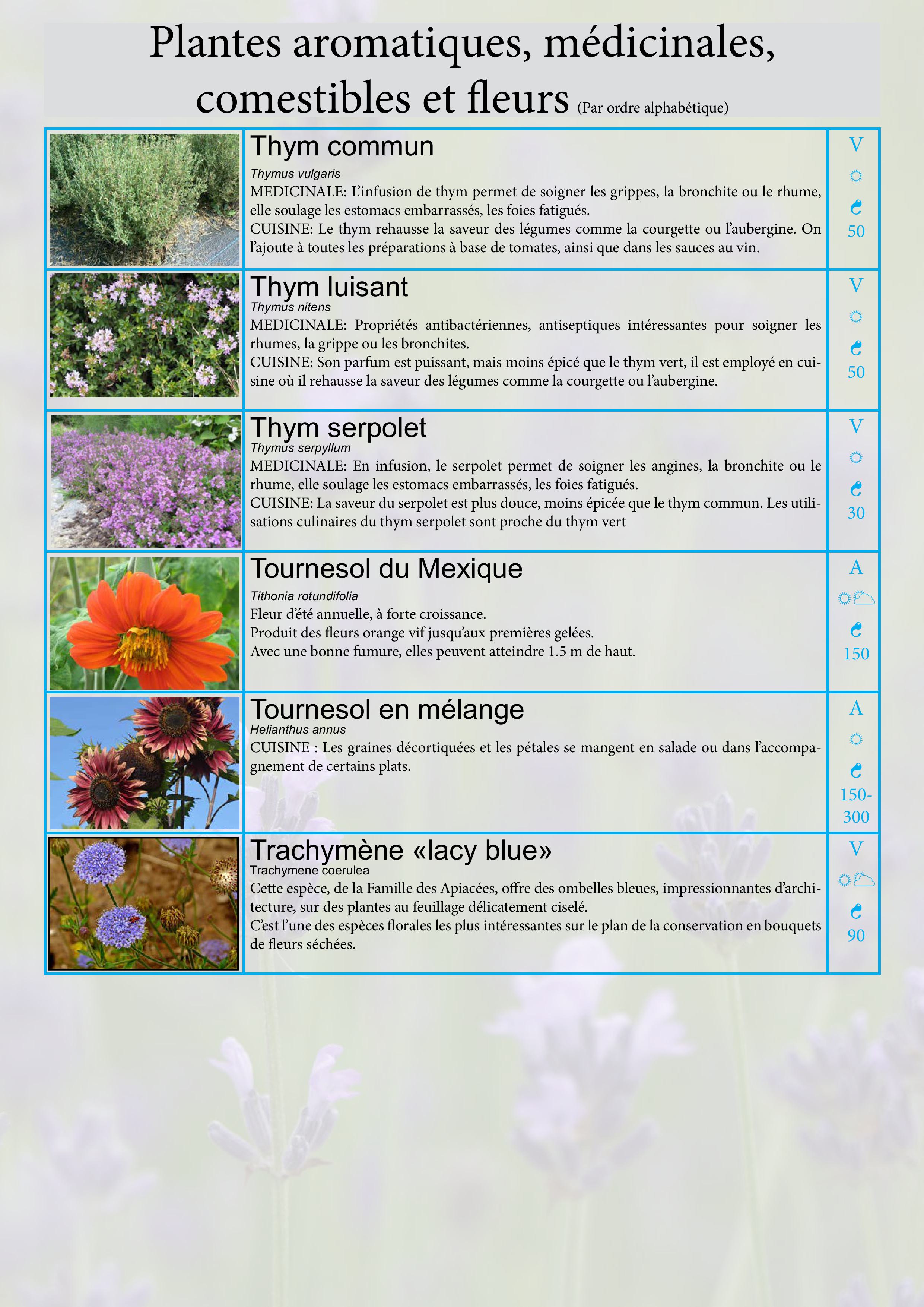 Catalogue images 32