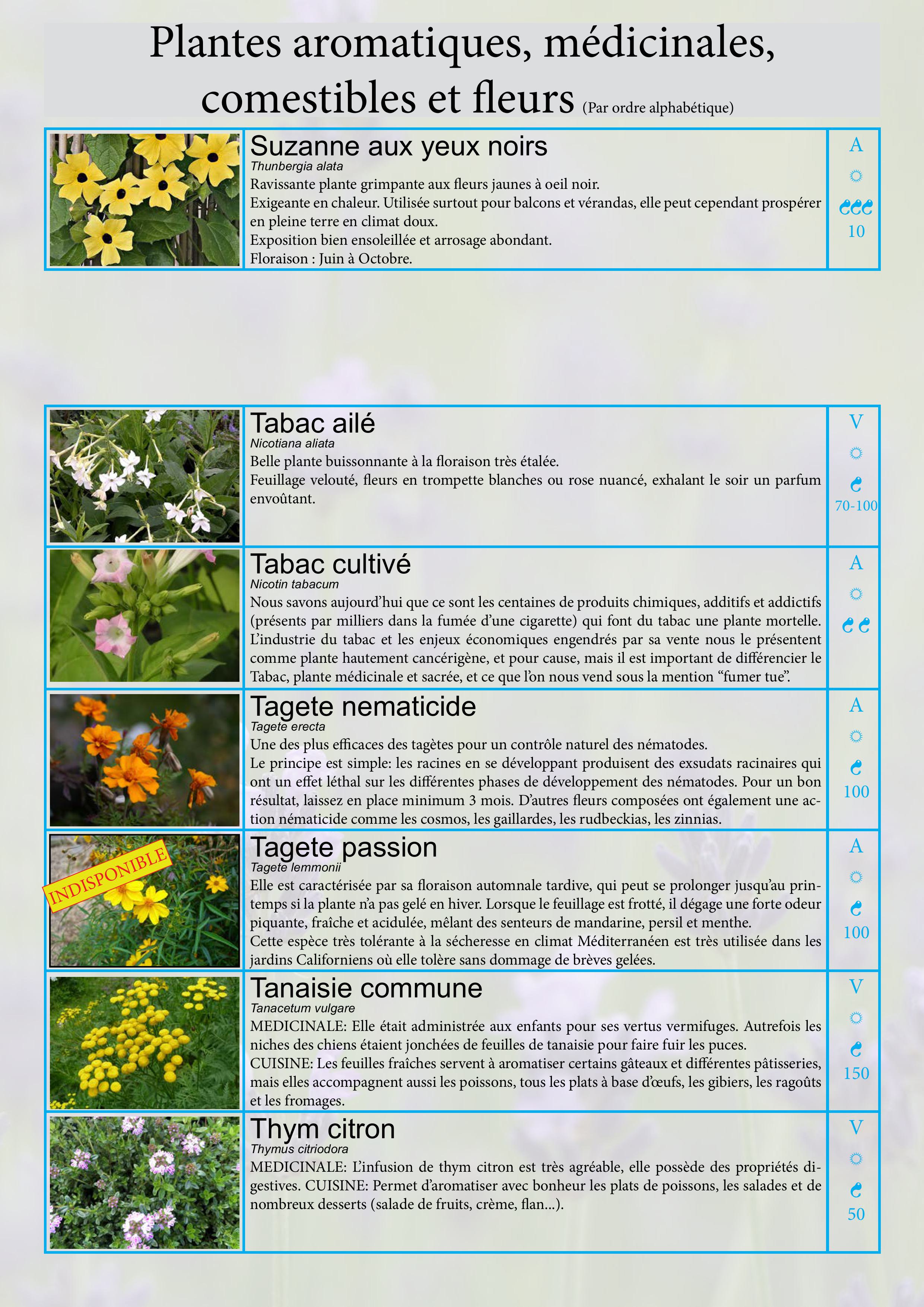 Catalogue images 31