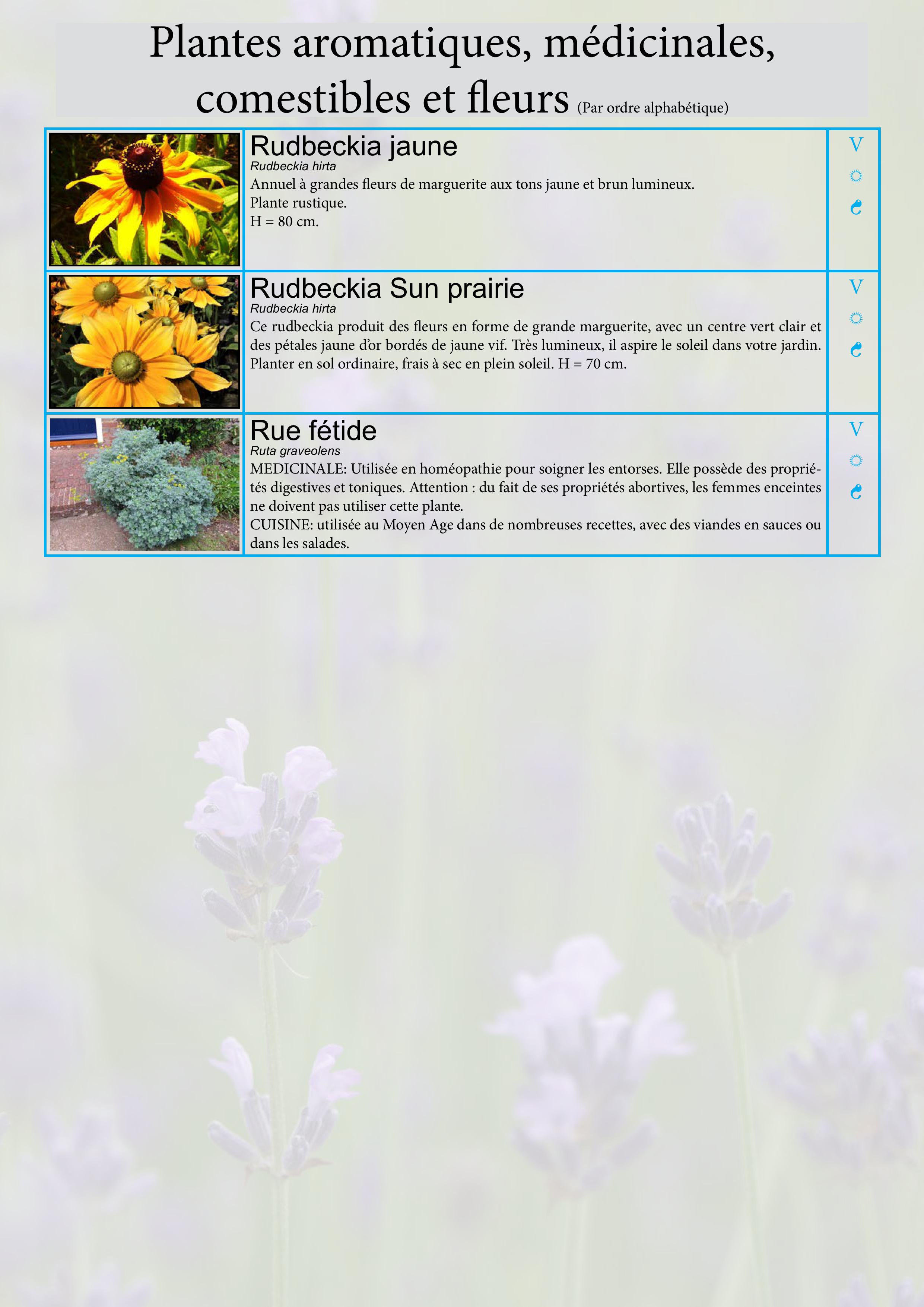 Catalogue images 28