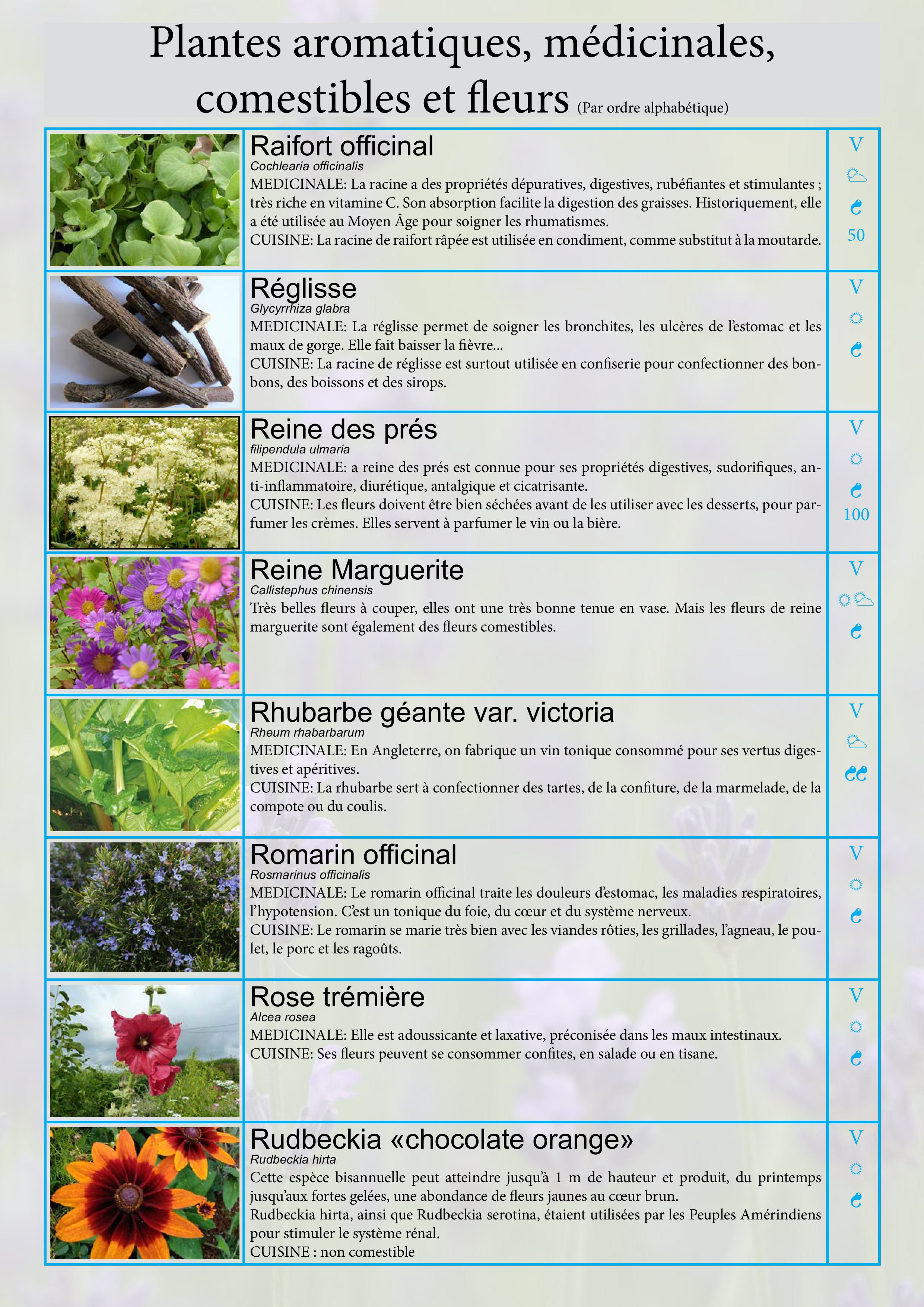 Catalogue images 27