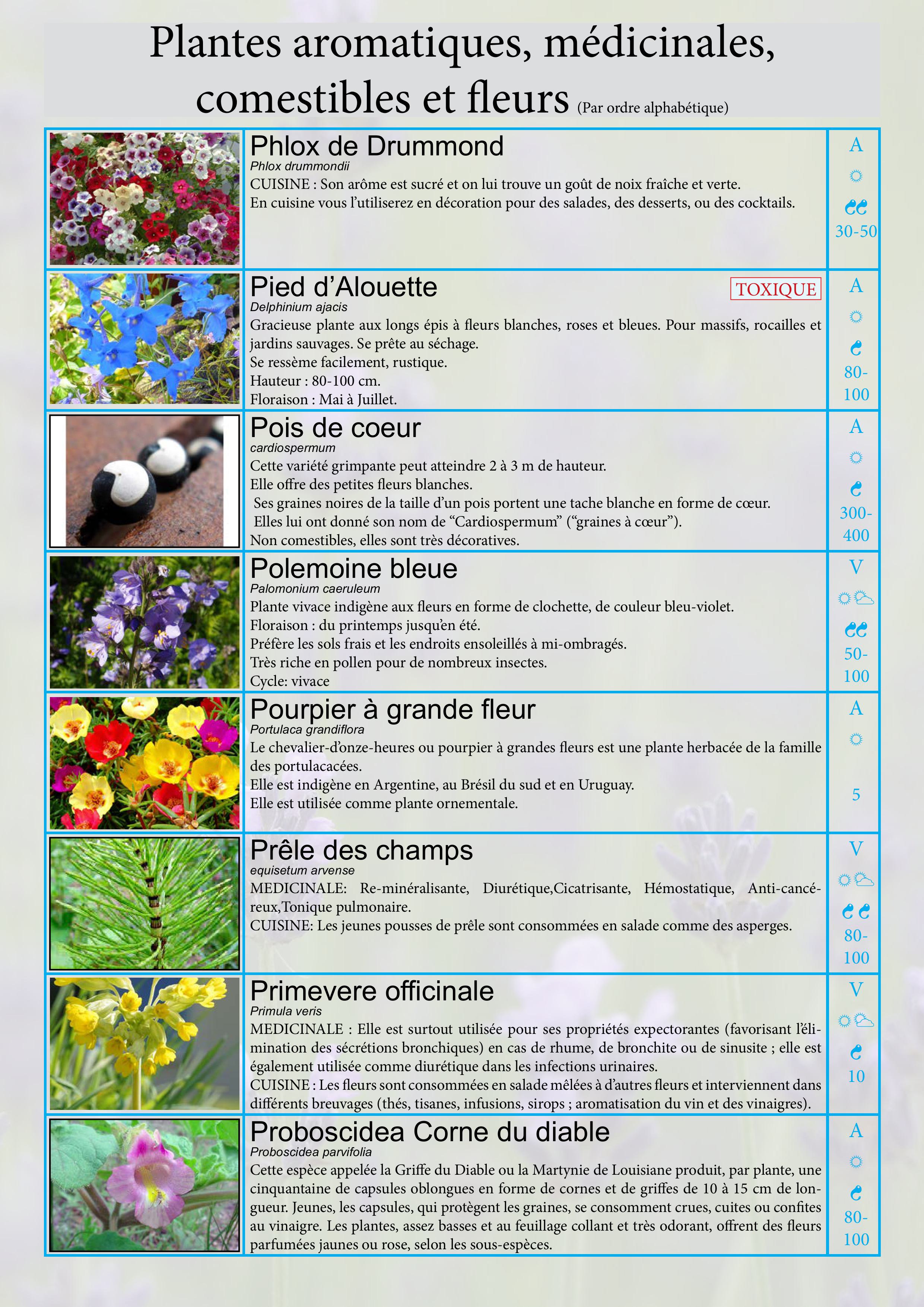 Catalogue images 26