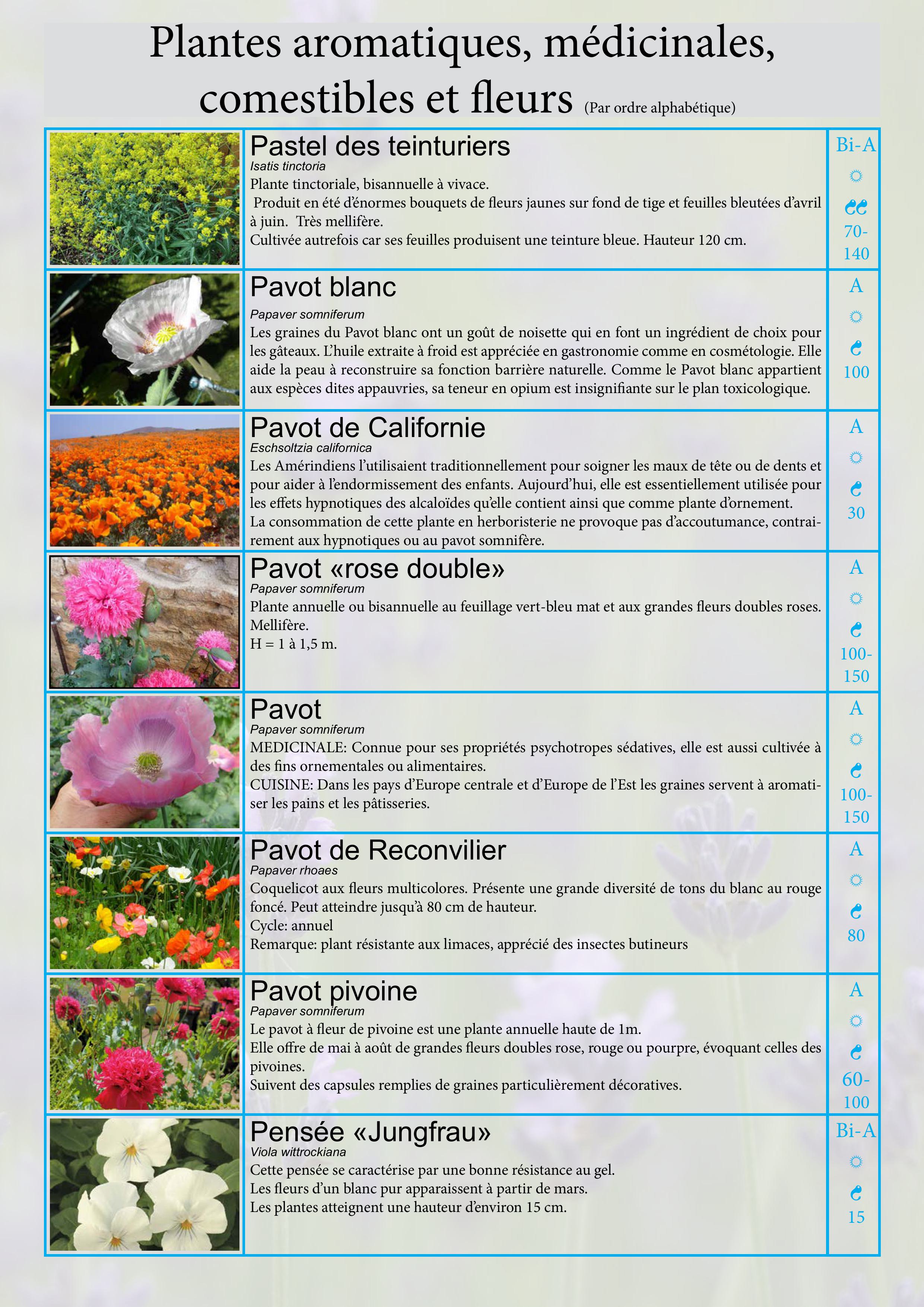 Catalogue images 24