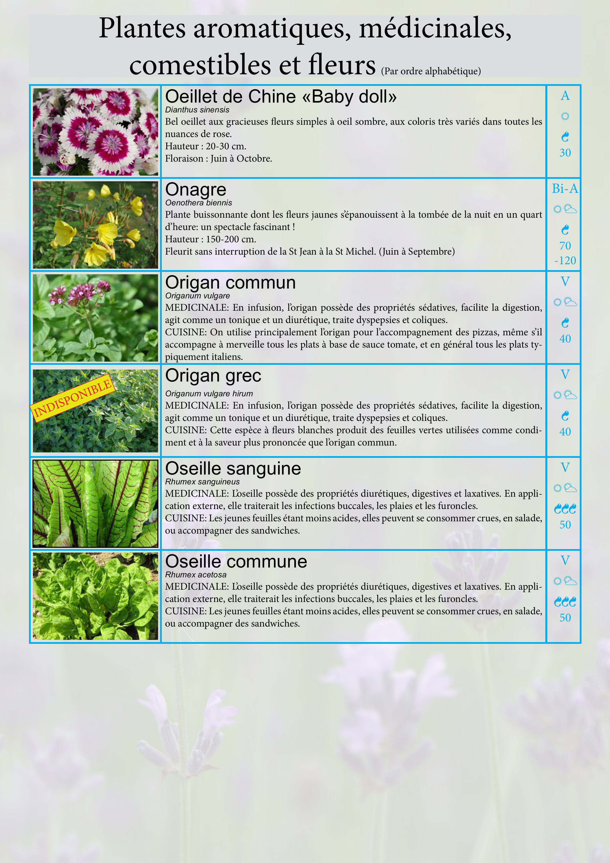Catalogue images 23