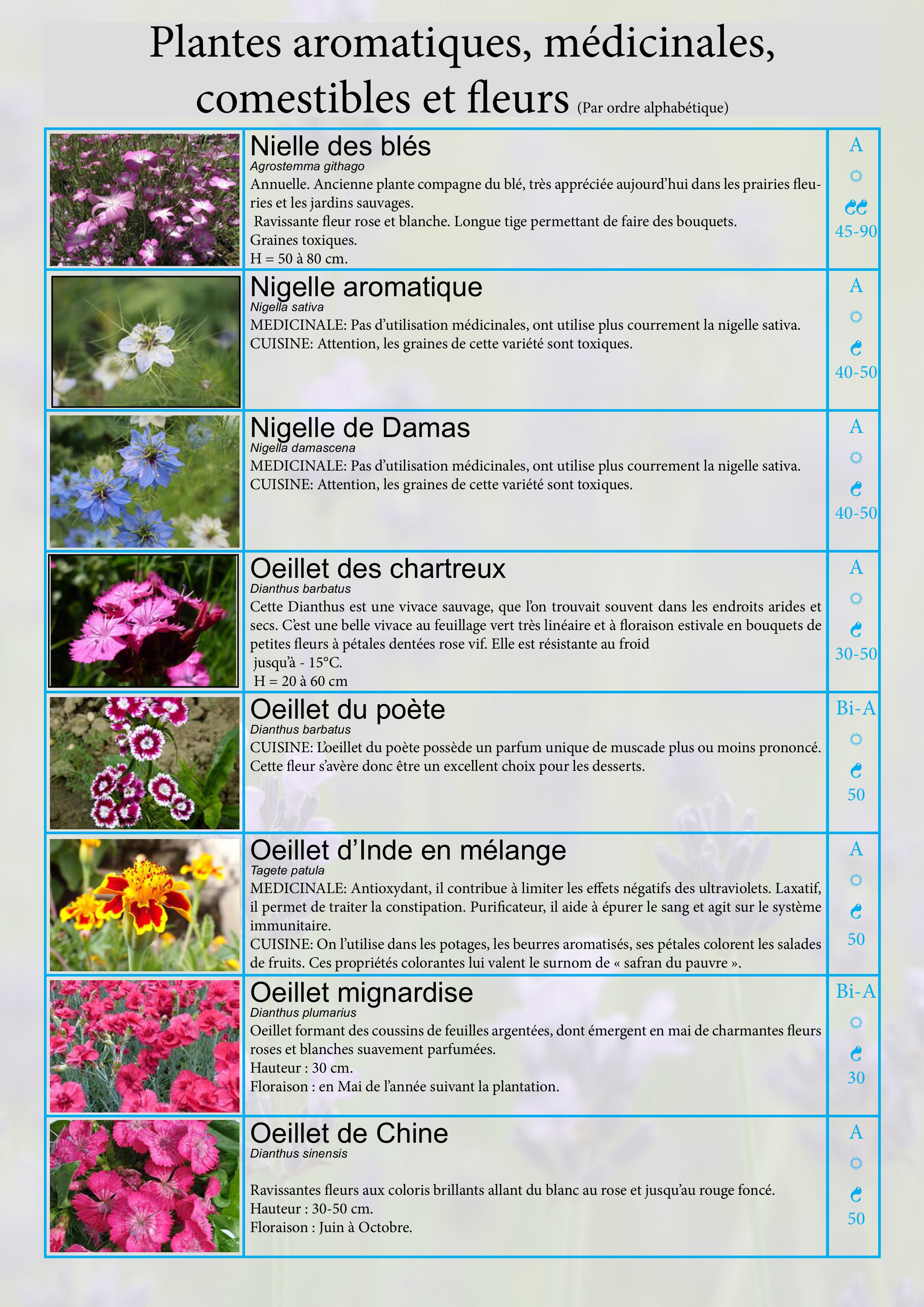 Catalogue images 22