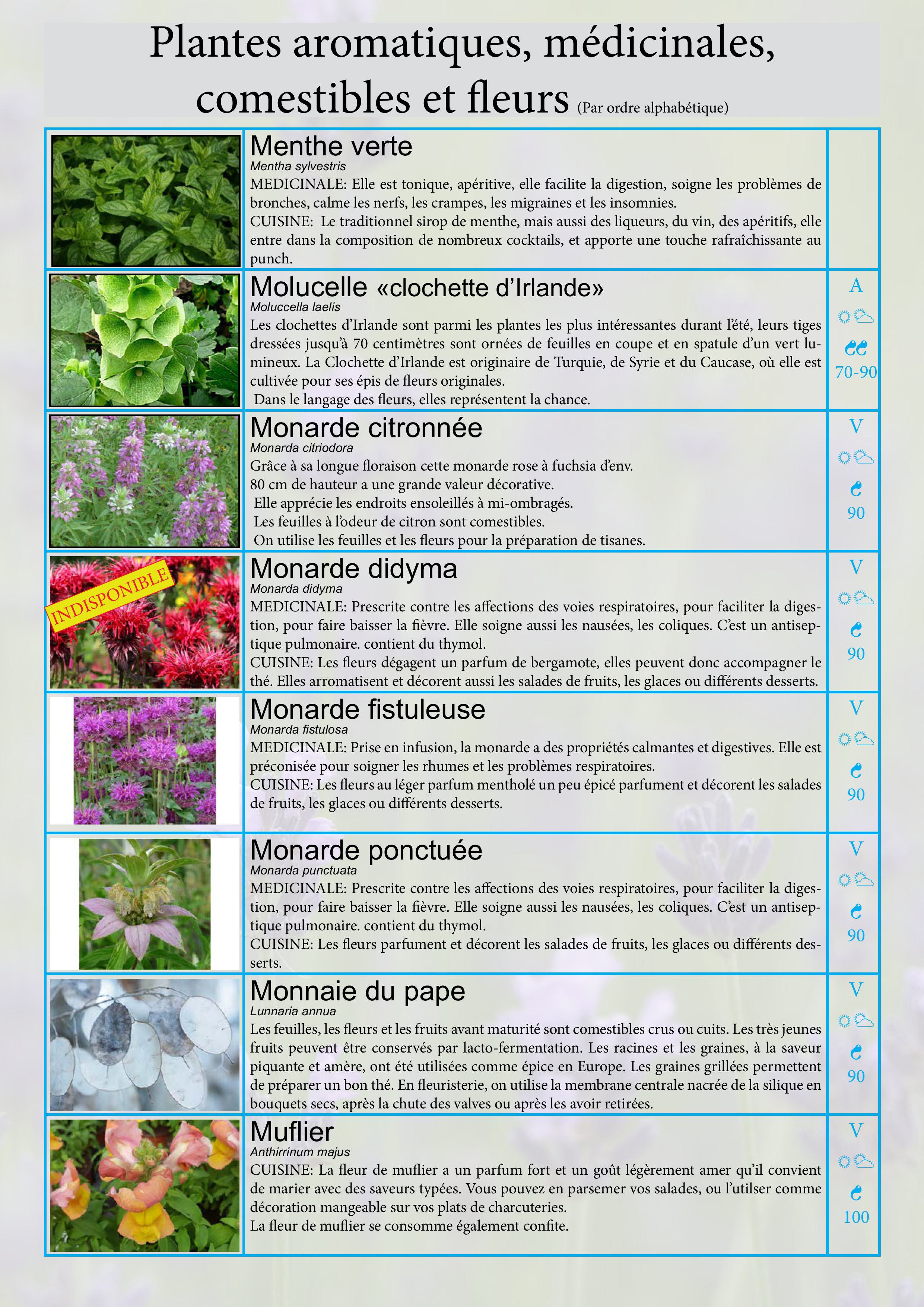 Catalogue images 21
