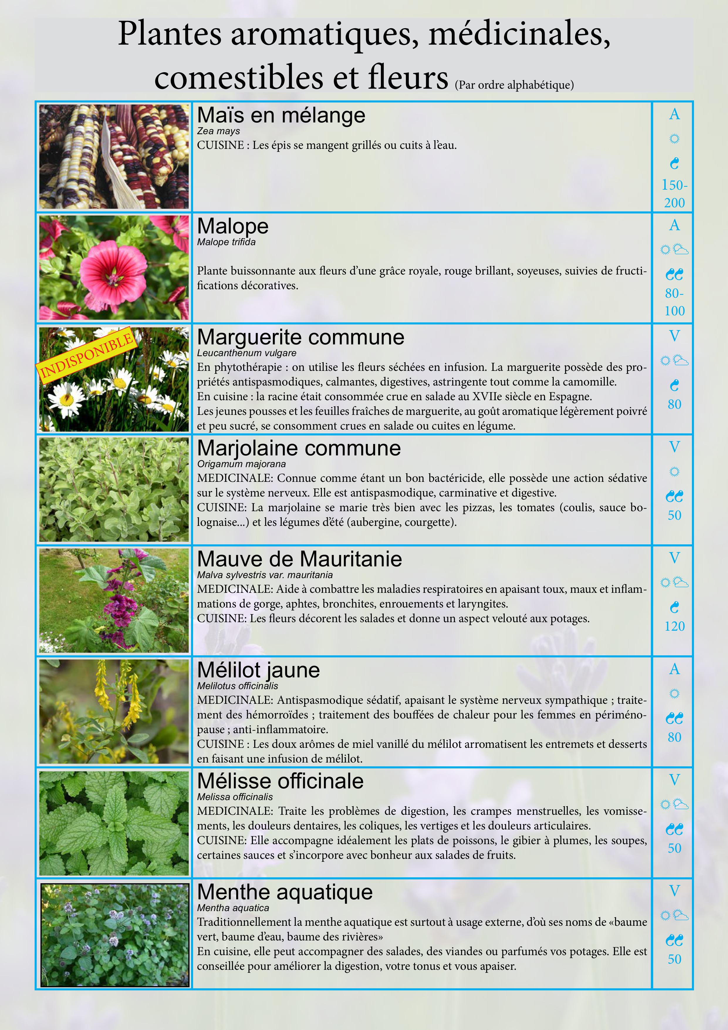 Catalogue images 19