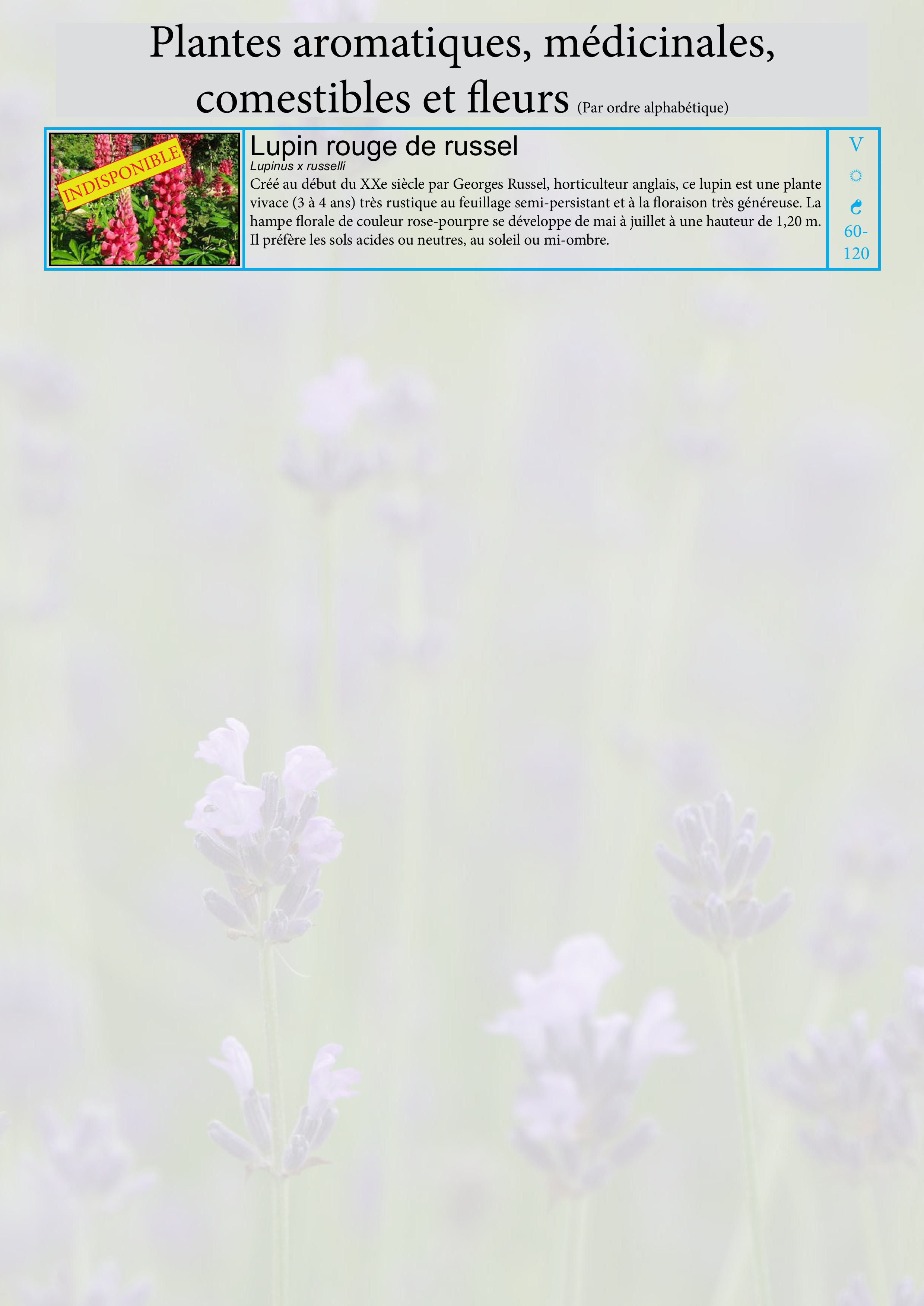 Catalogue images 18