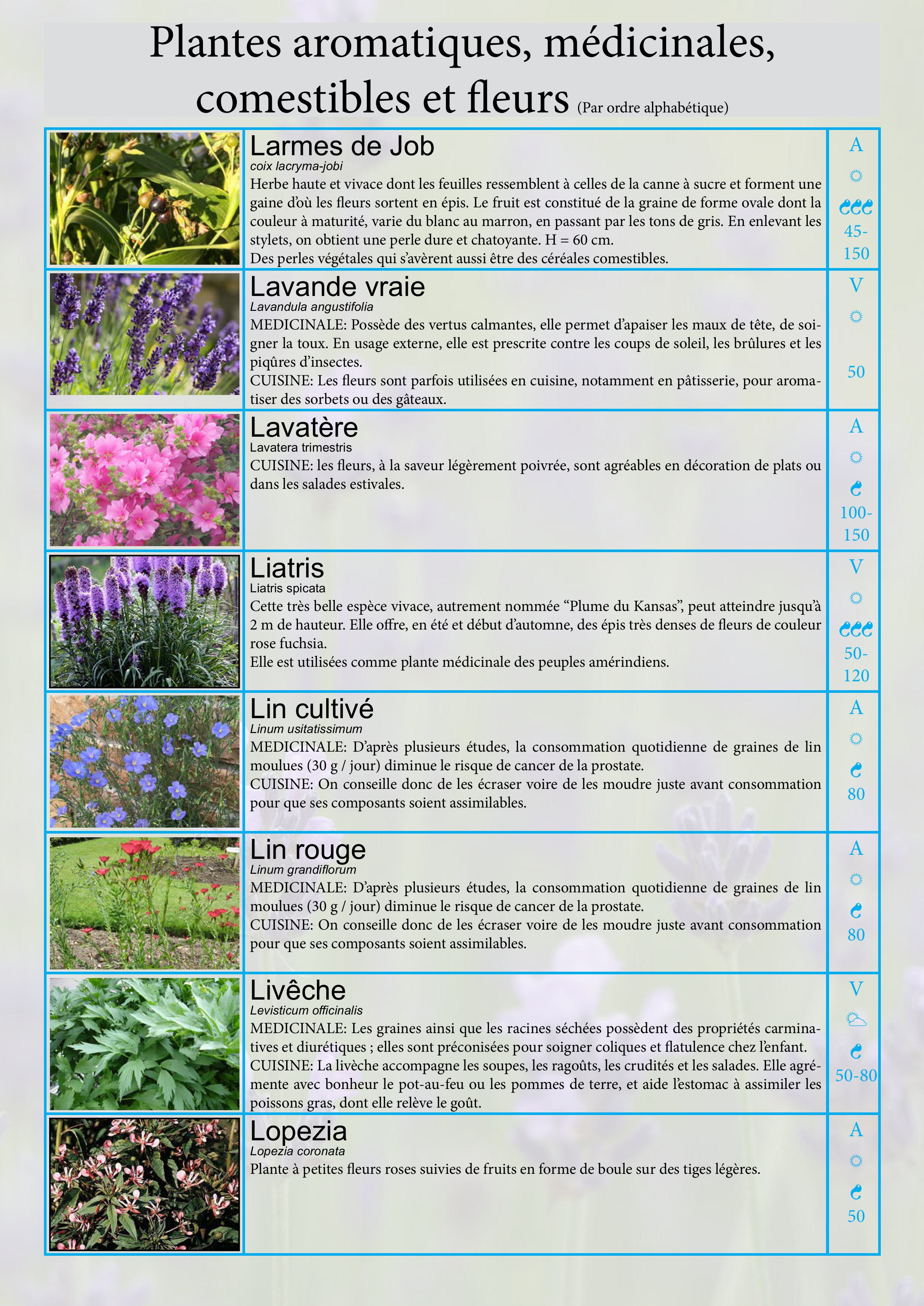 Catalogue images 17
