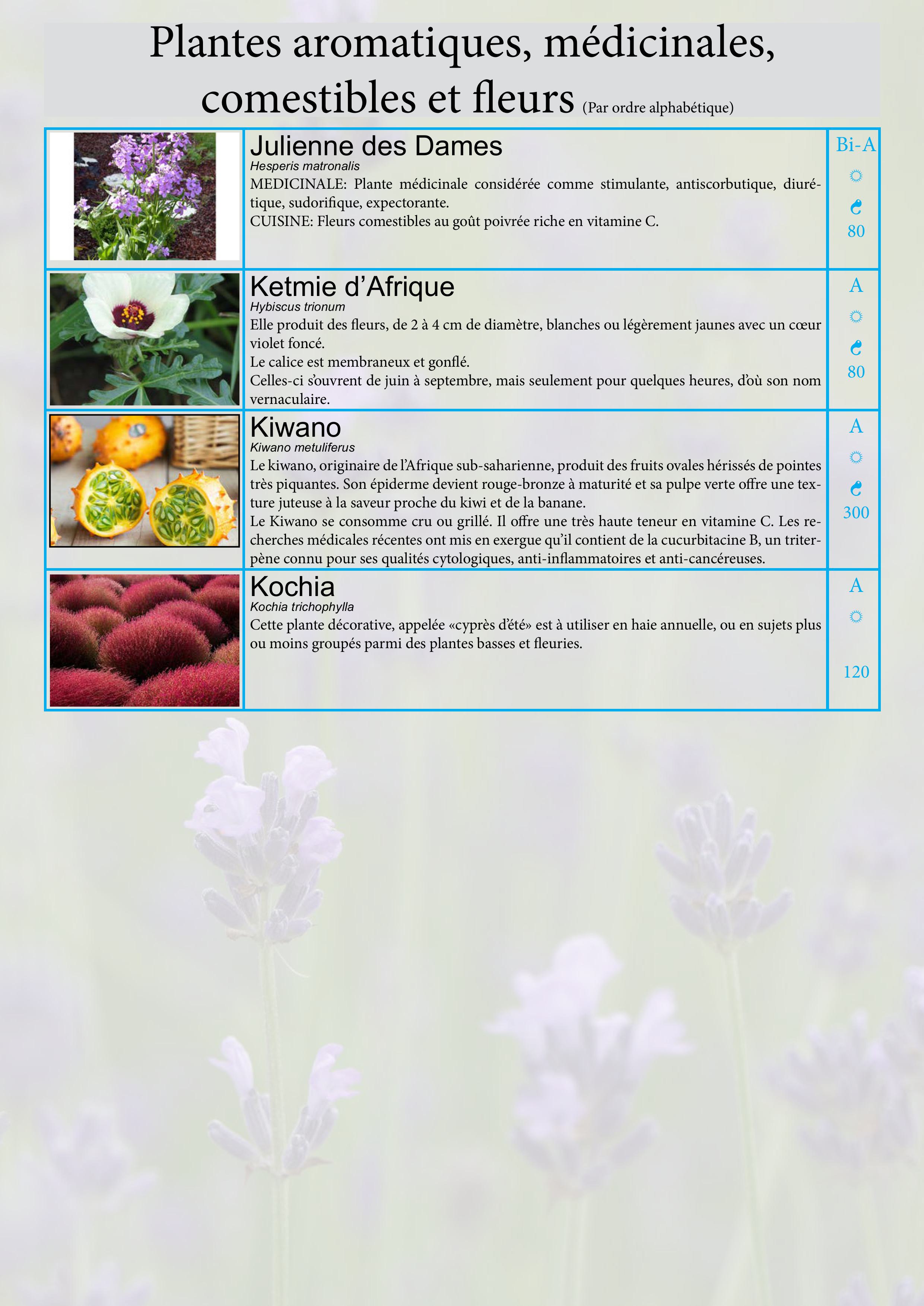 Catalogue images 16