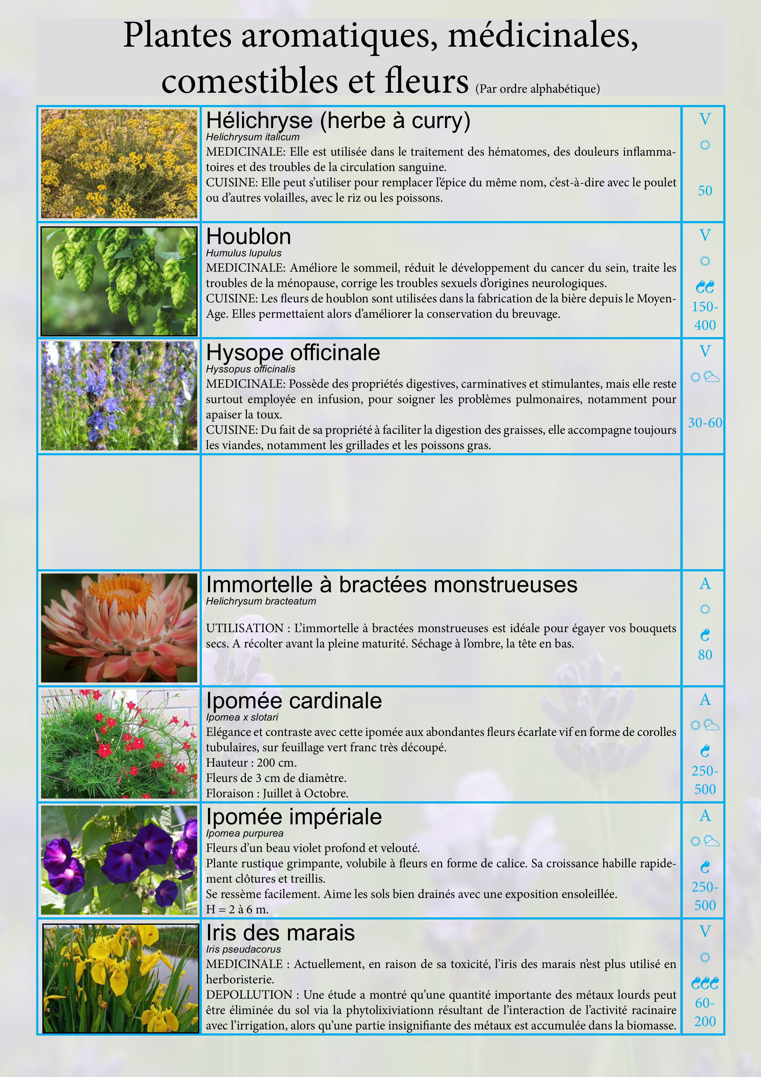 Catalogue images 15