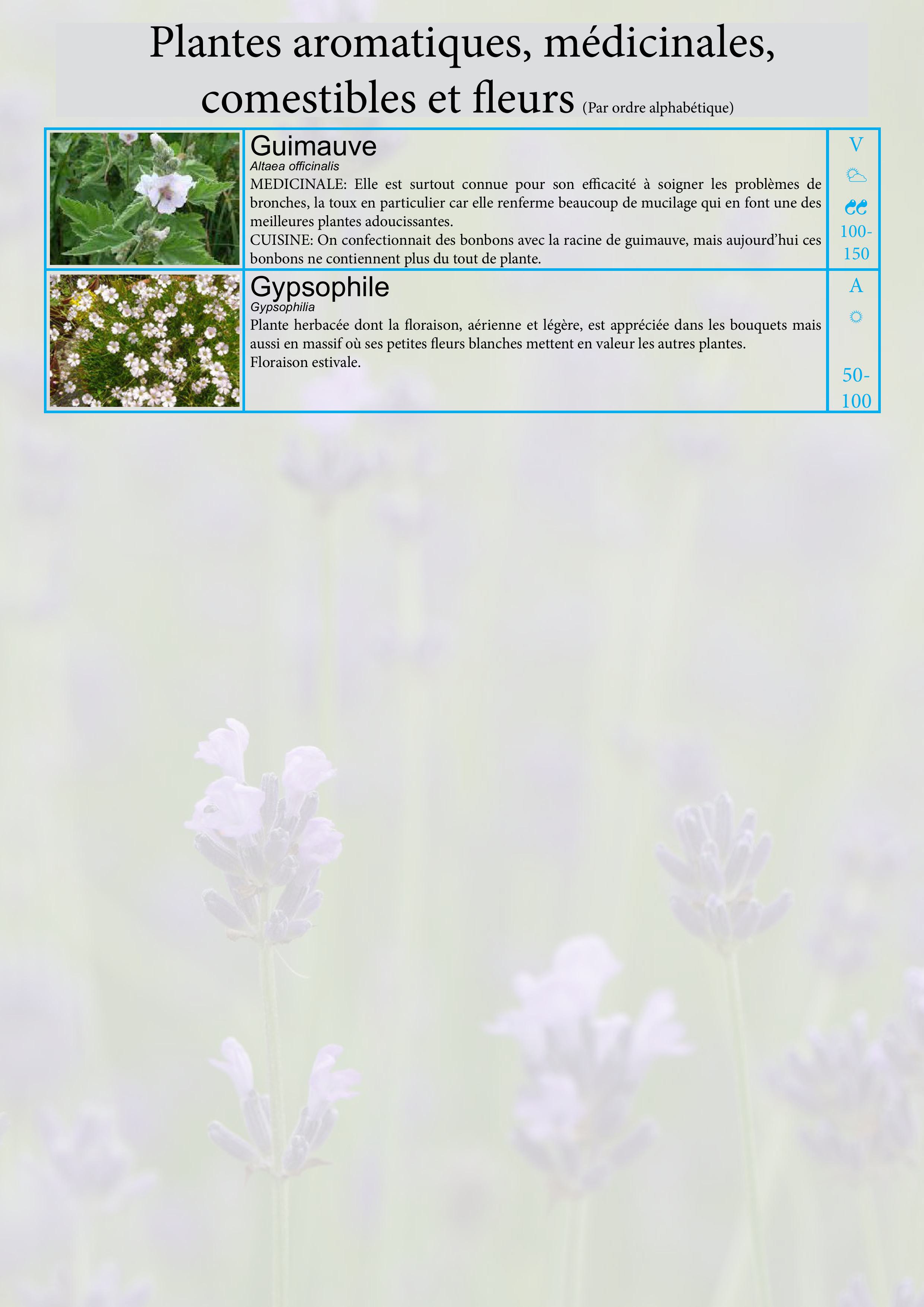 Catalogue images 14