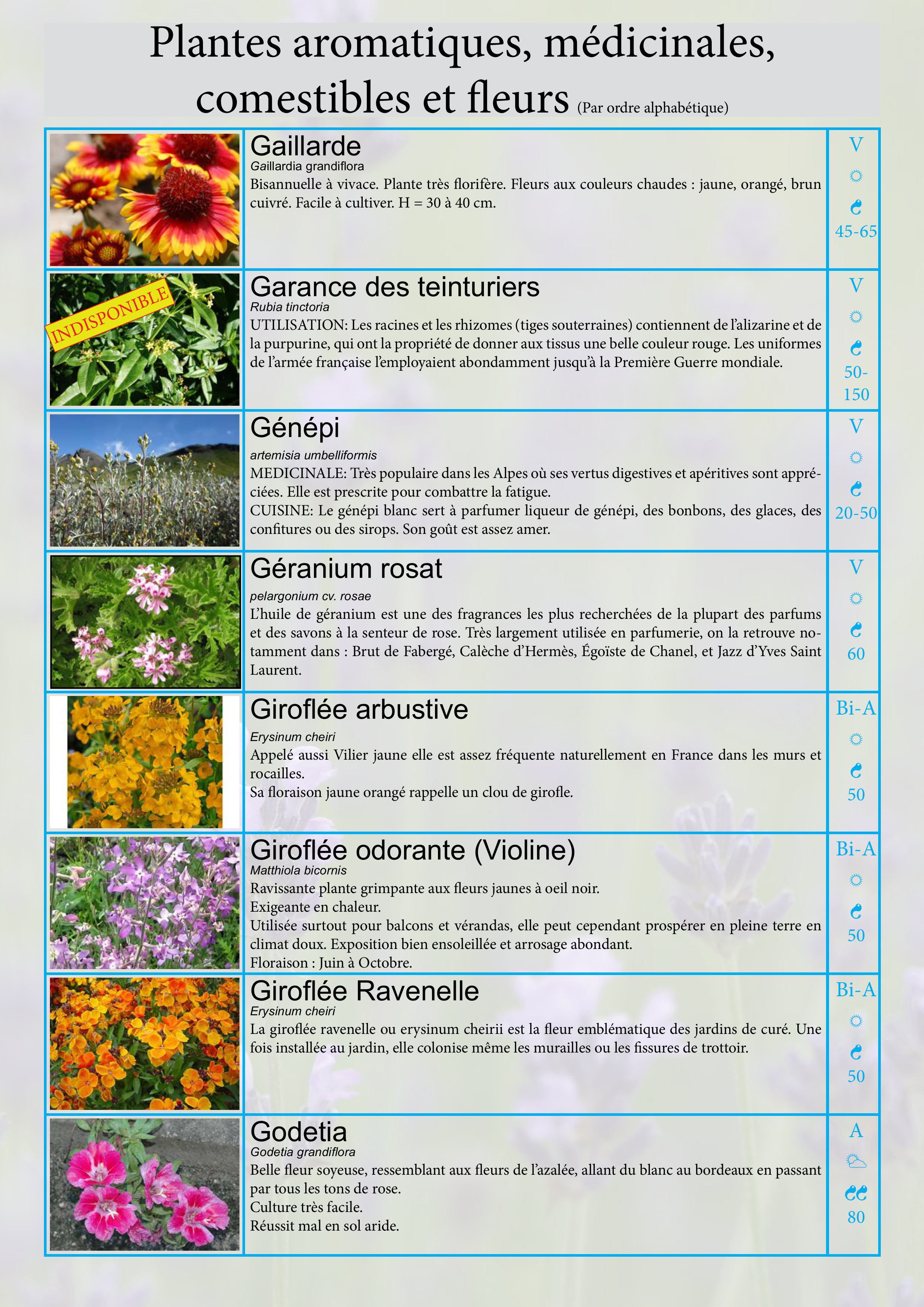 Catalogue images 13
