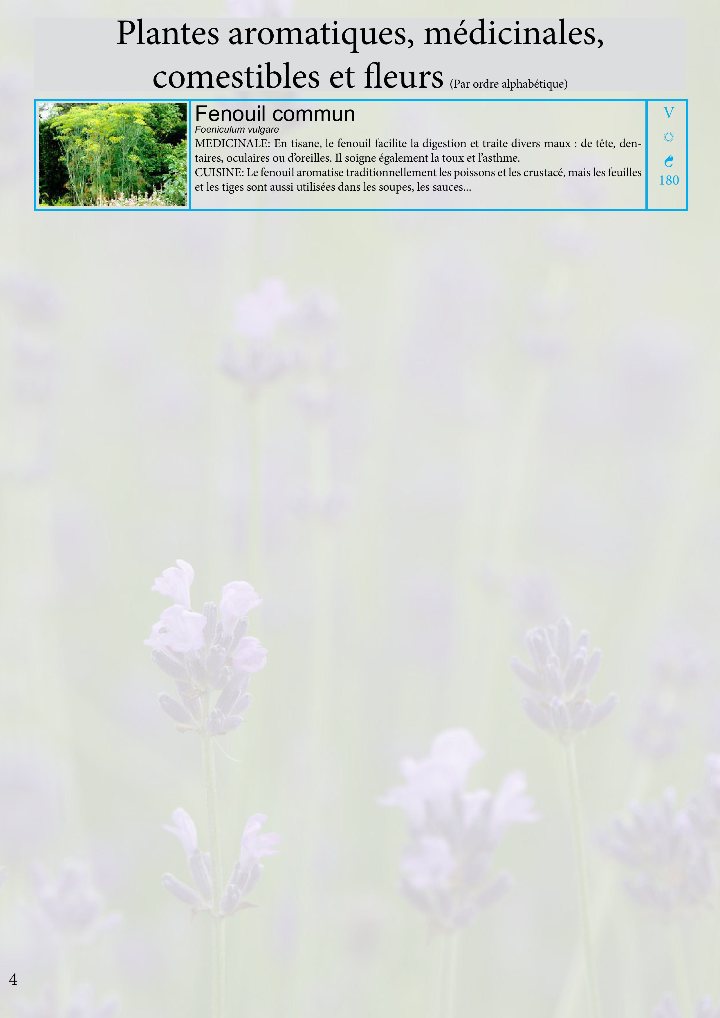 Catalogue images 12