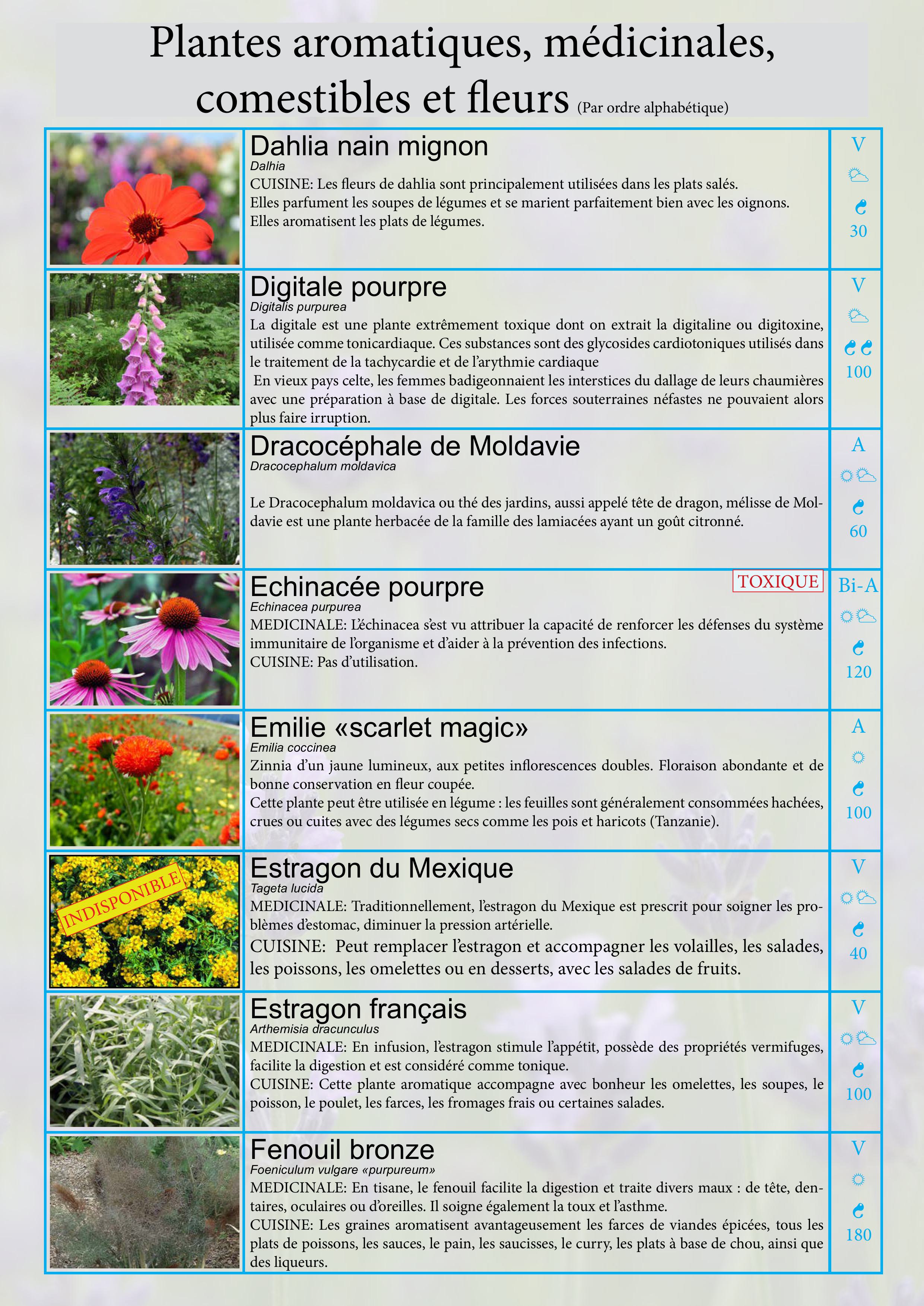 Catalogue images 11