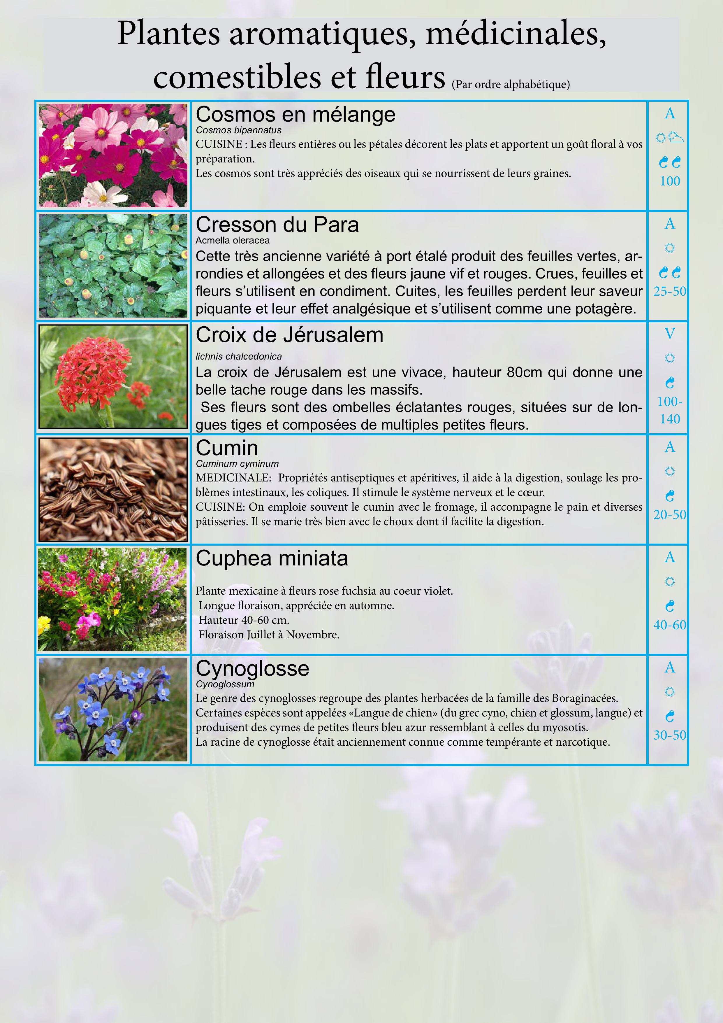 Catalogue images 10