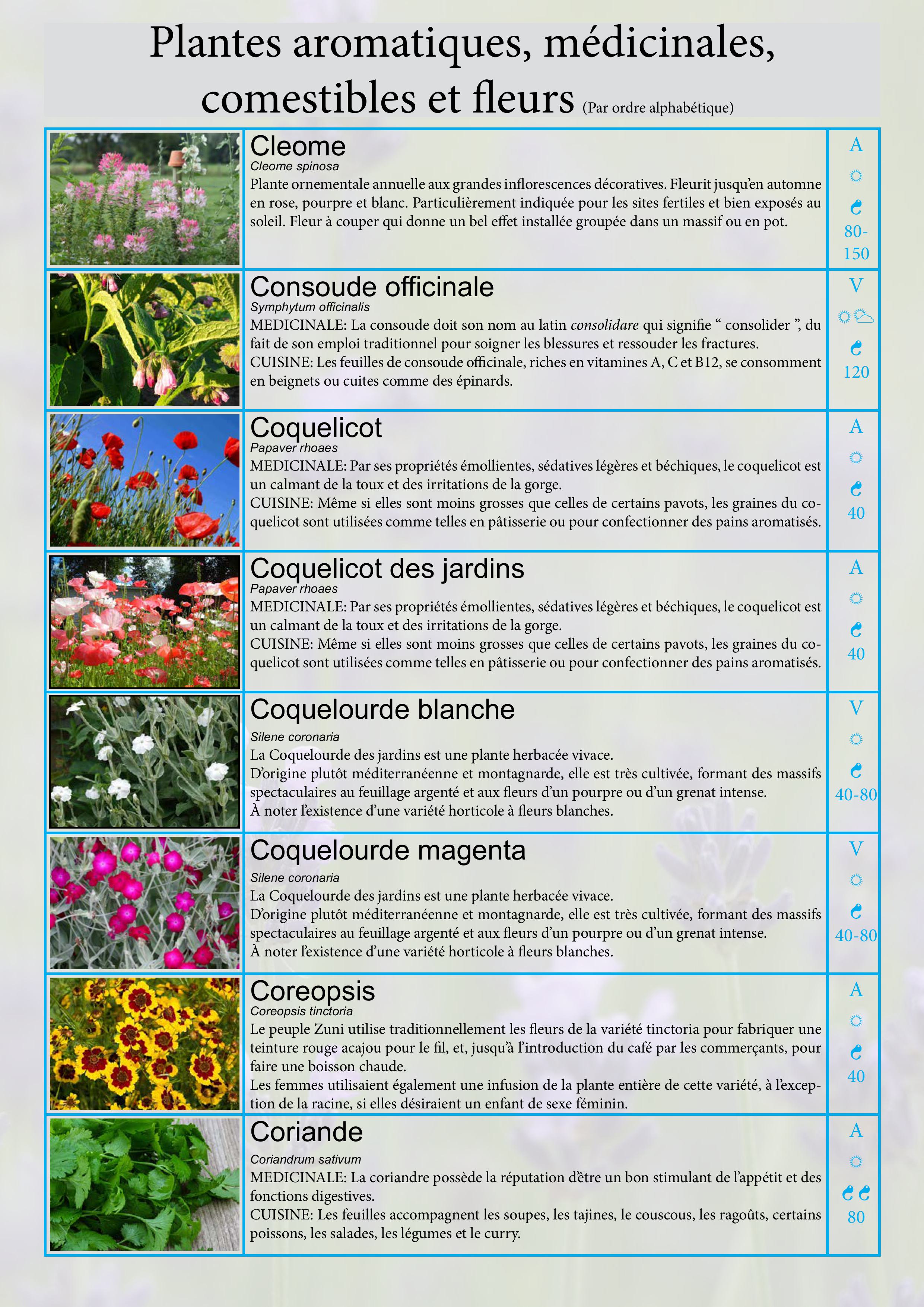 Catalogue images 9