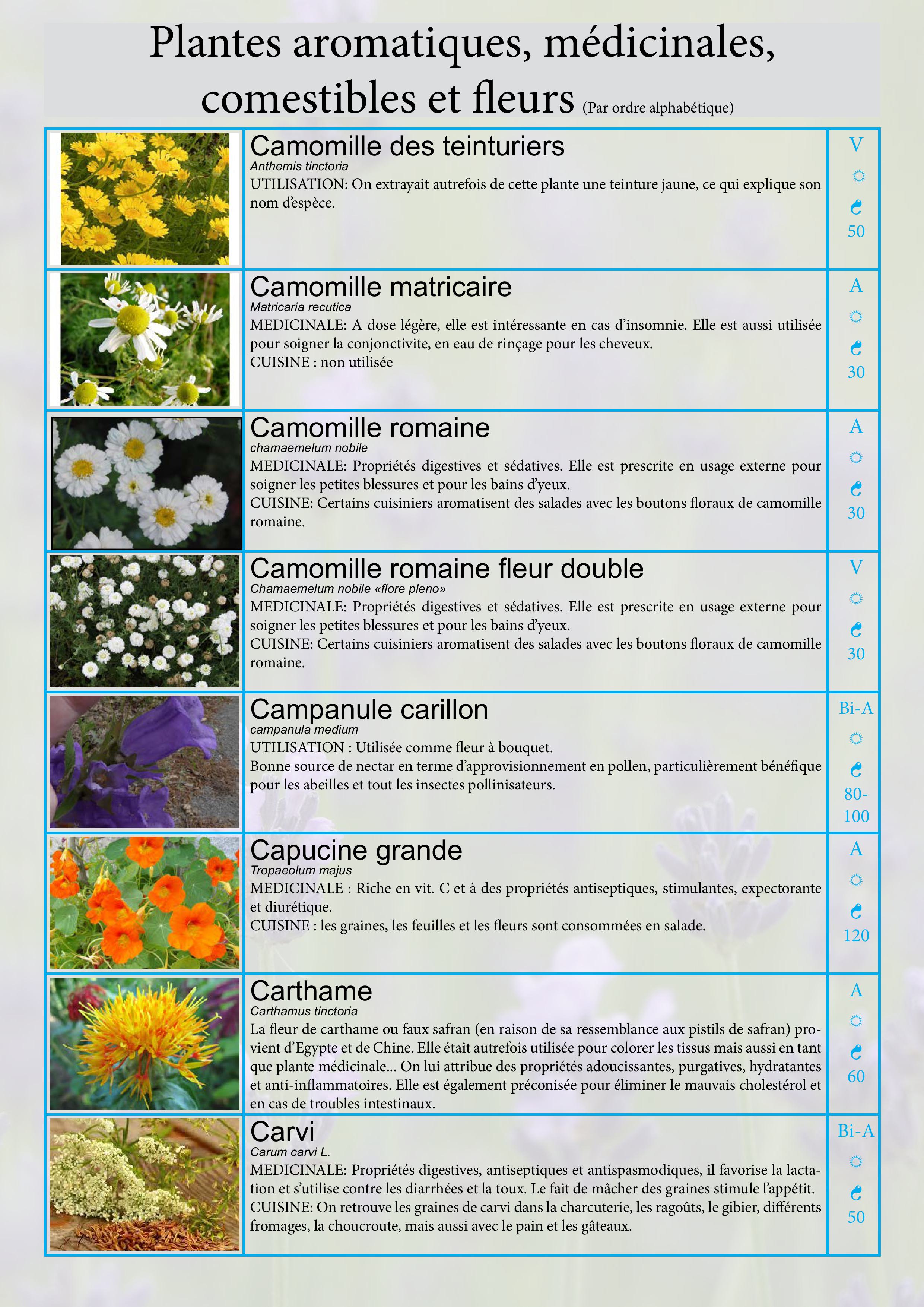 Catalogue images 7