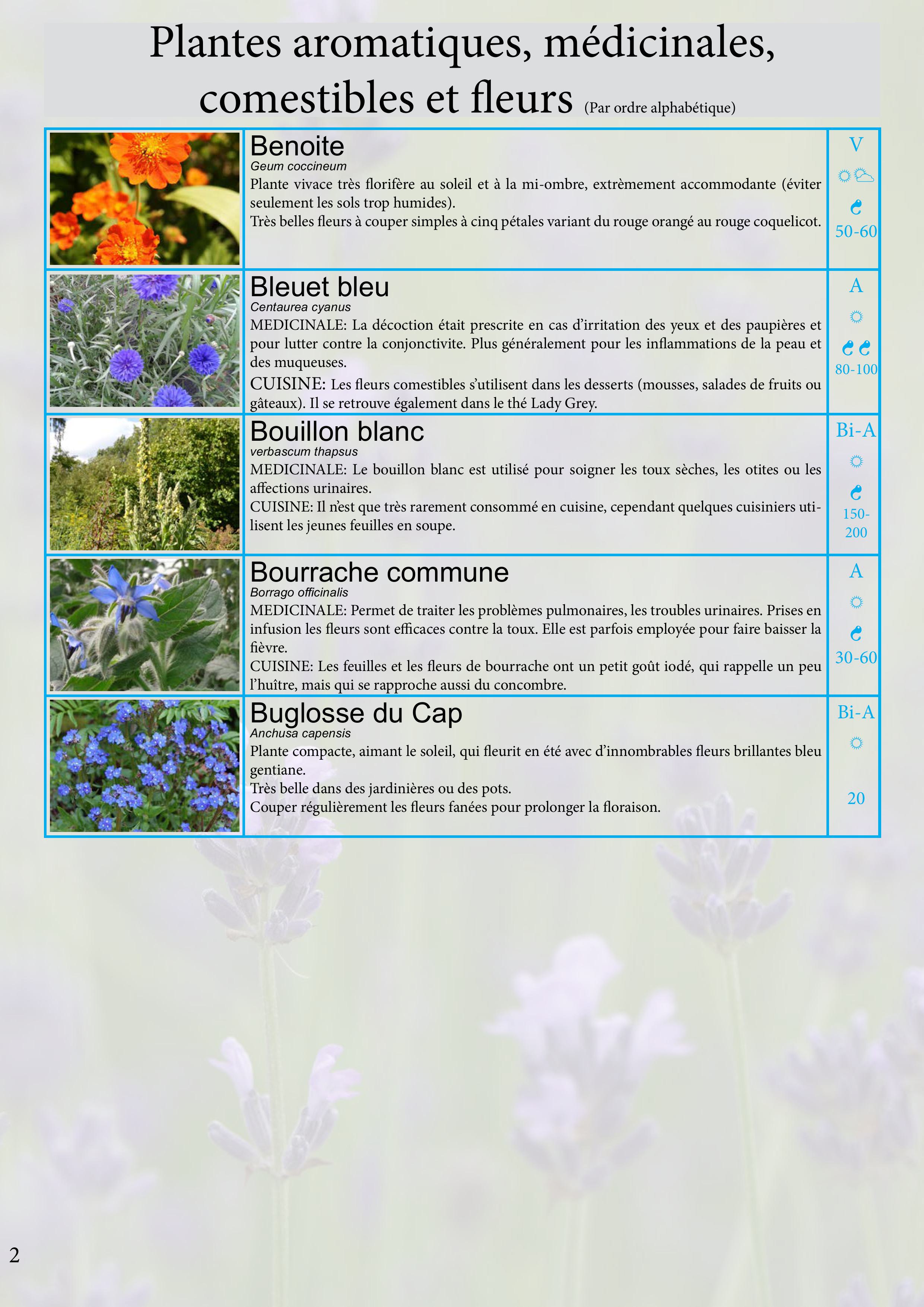 Catalogue images 6