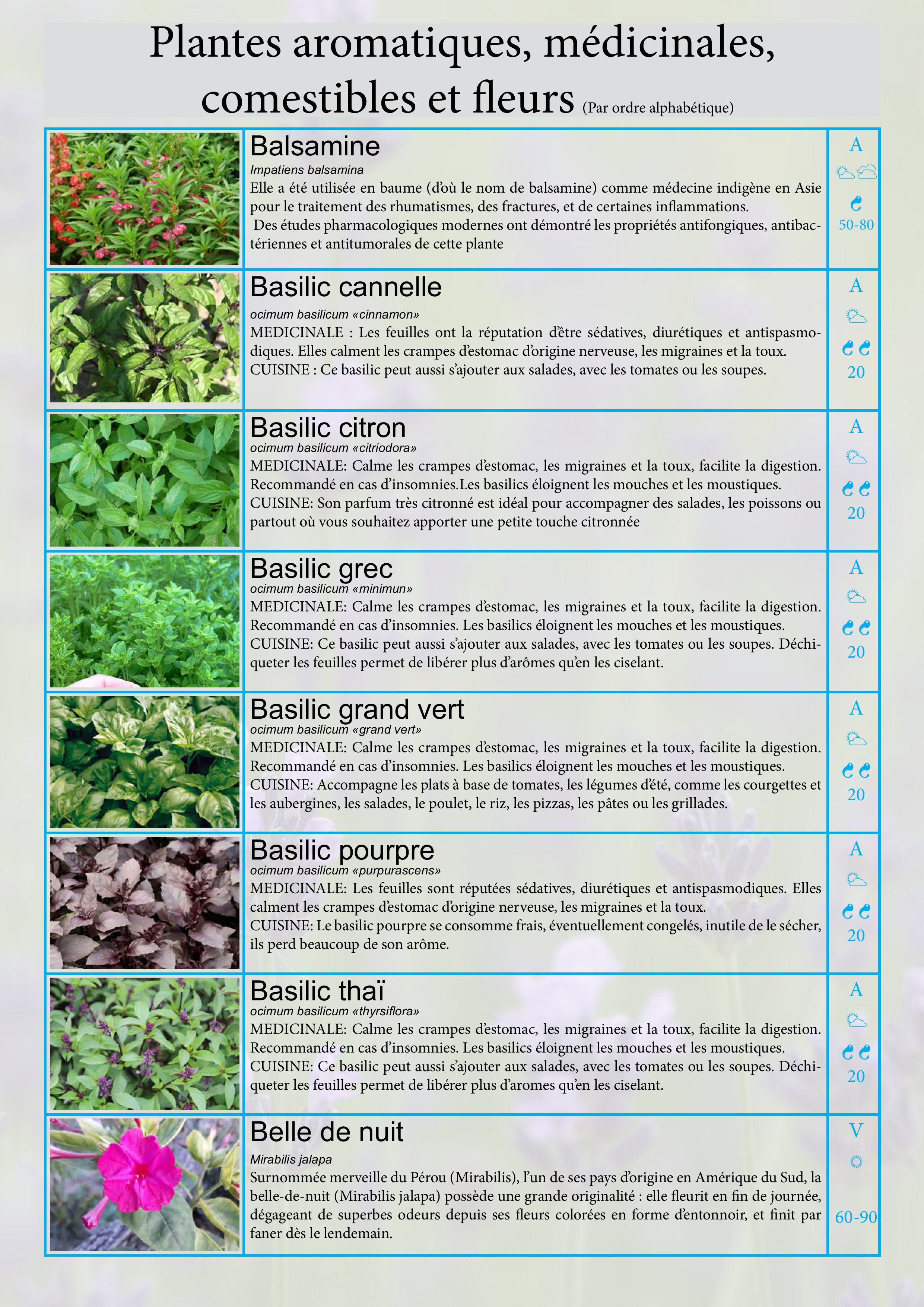 Catalogue images 5