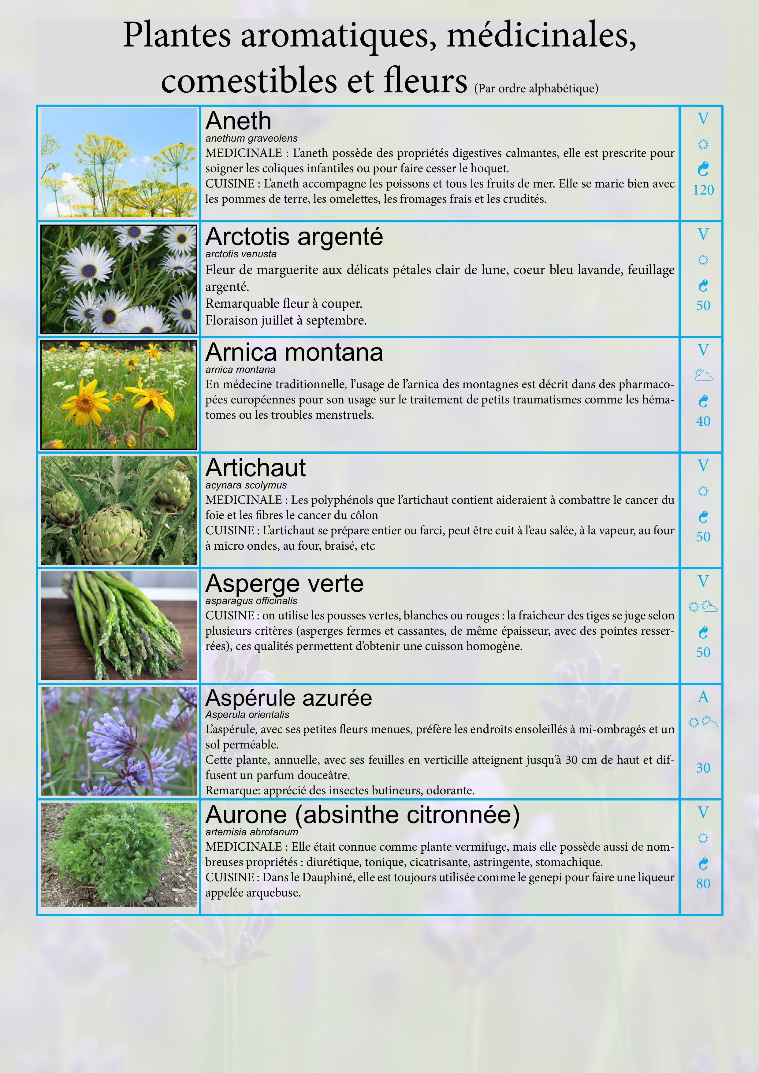 Catalogue images 4