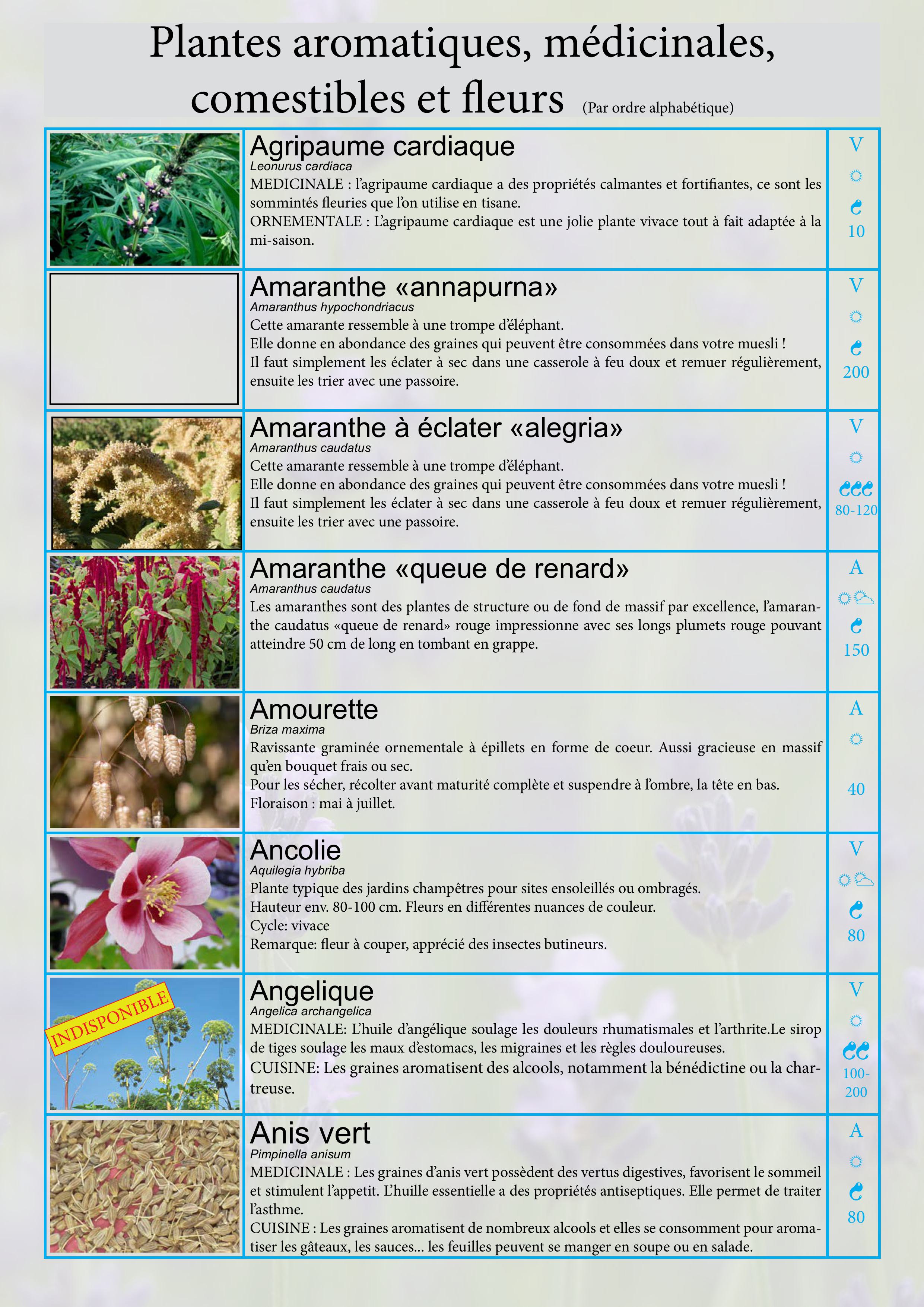 Catalogue images 3