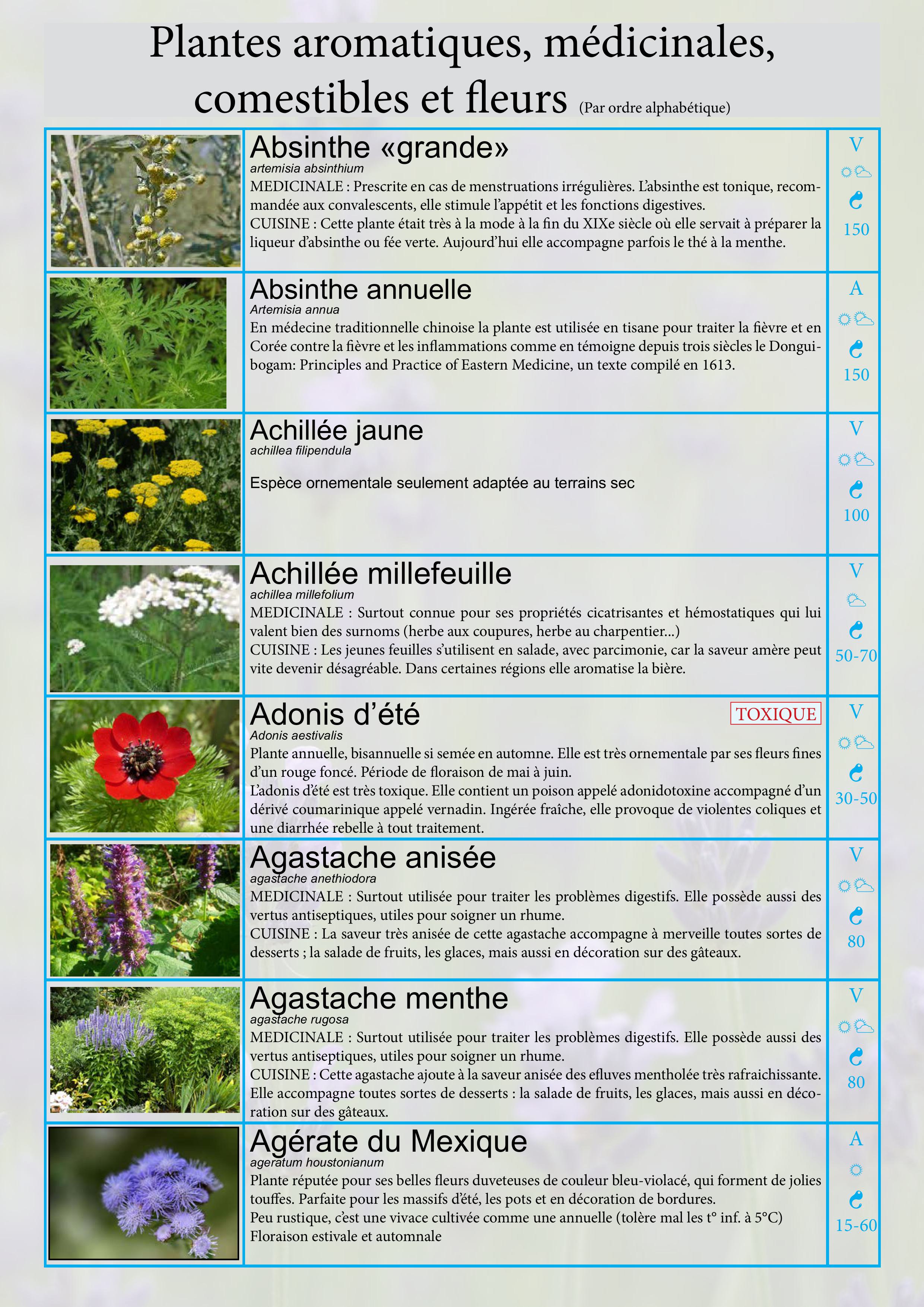 Catalogue images 2