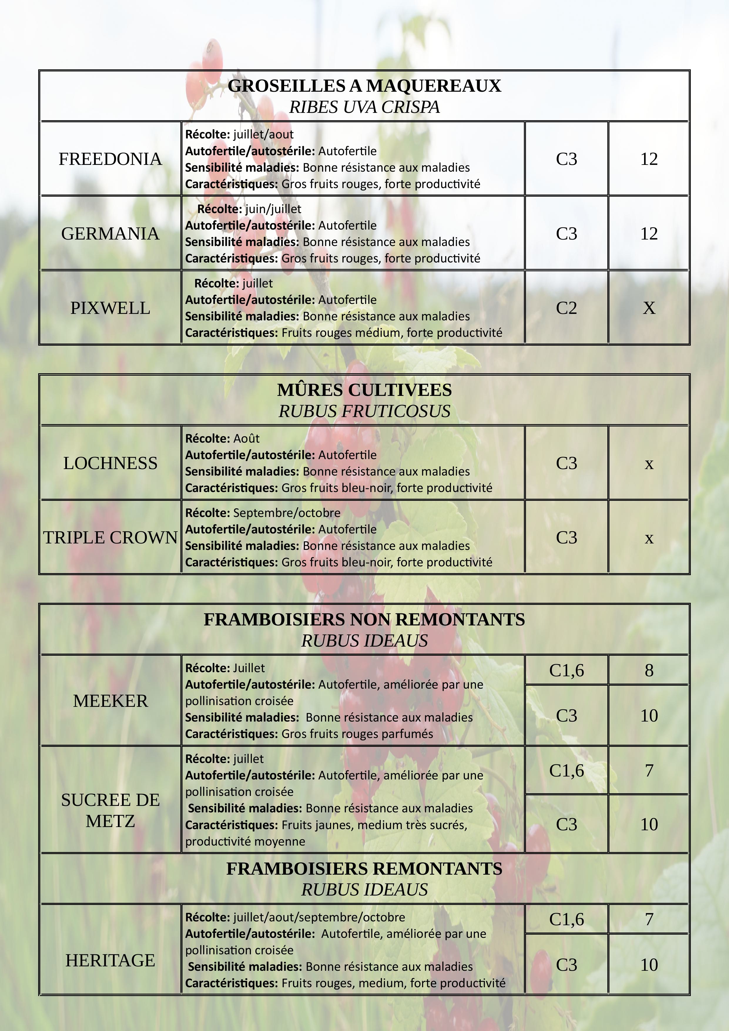 Catalogue plants automne2025 images 3