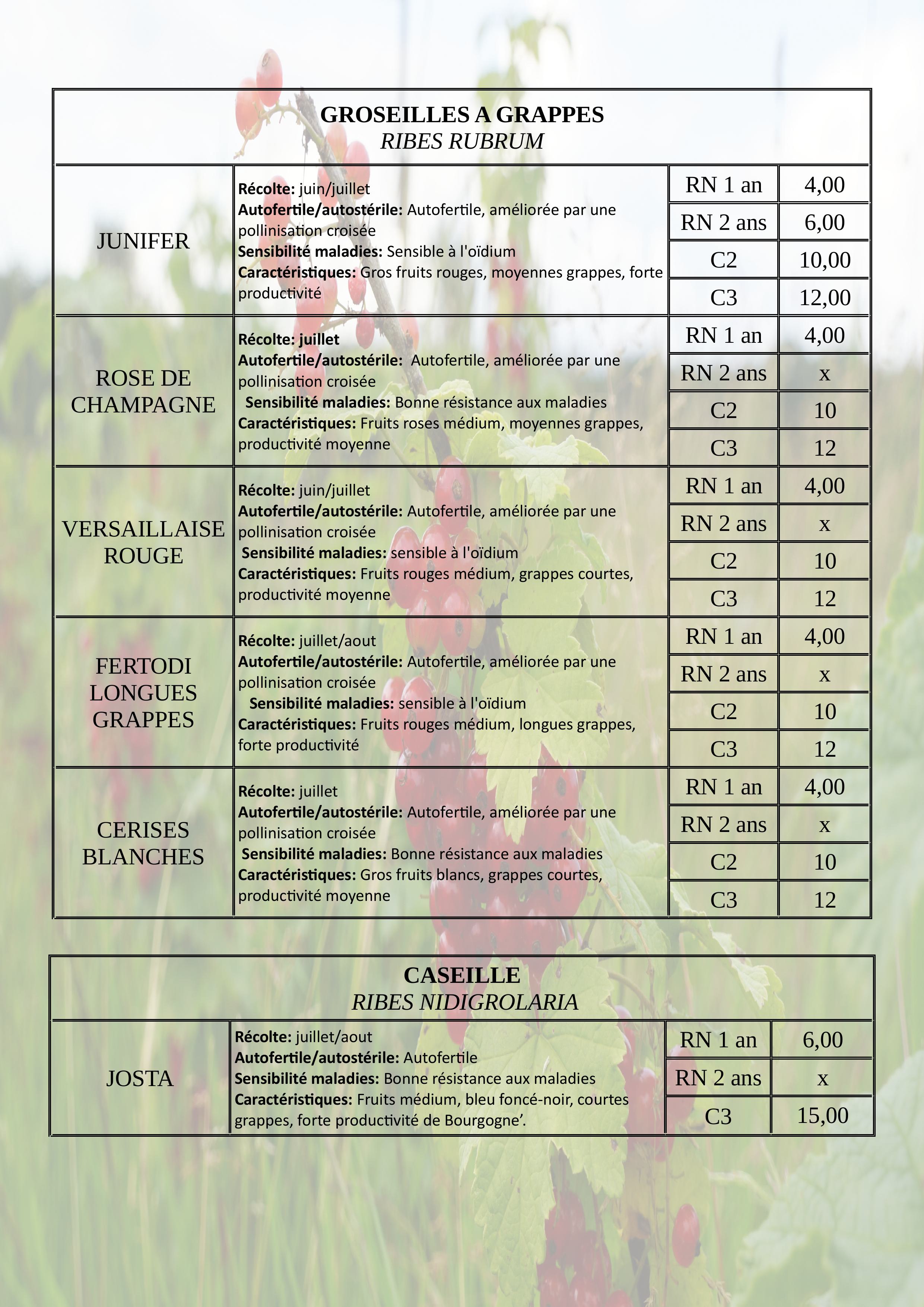 Catalogue plants automne2025 images 2