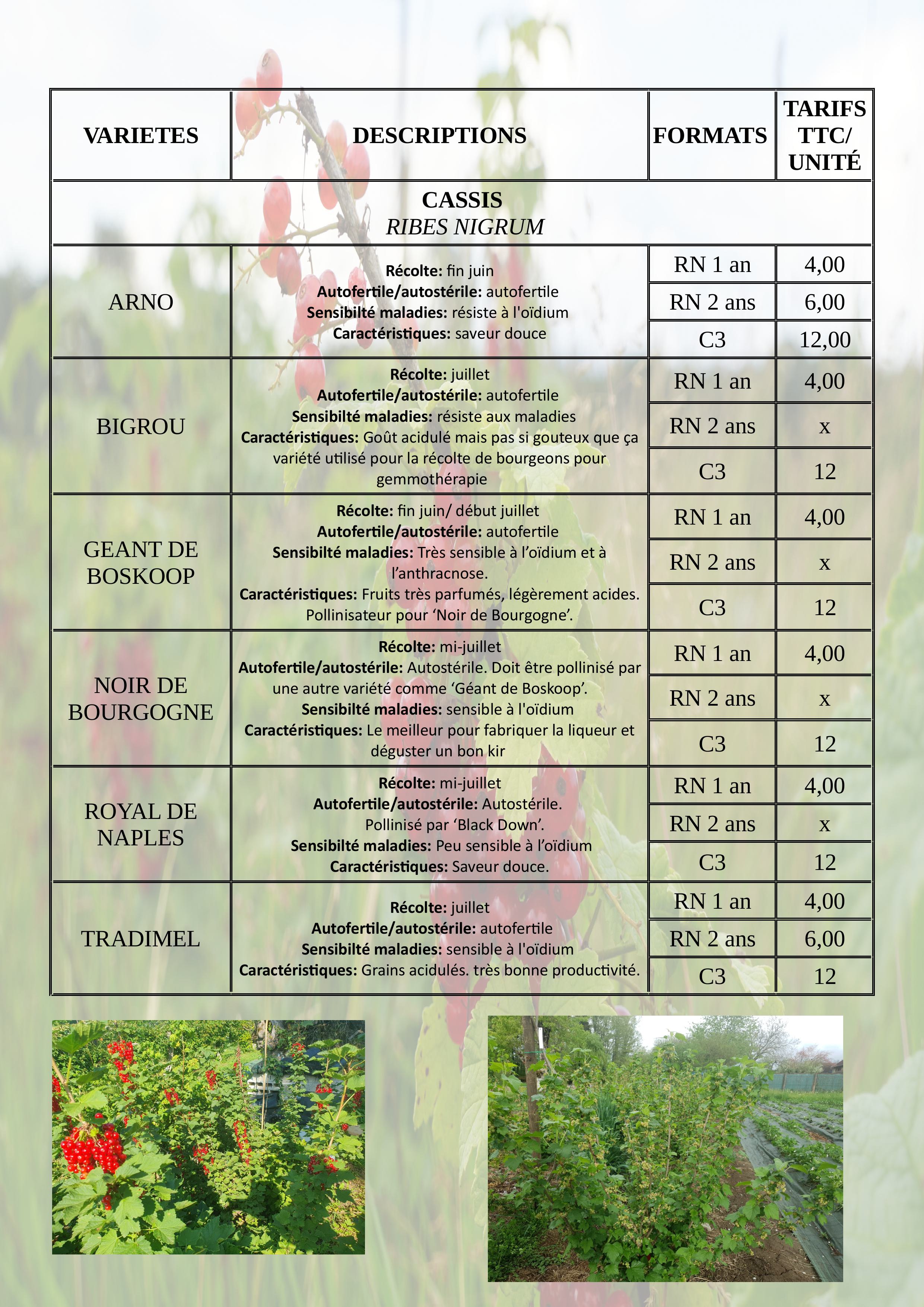 Catalogue plants automne2025 images 1