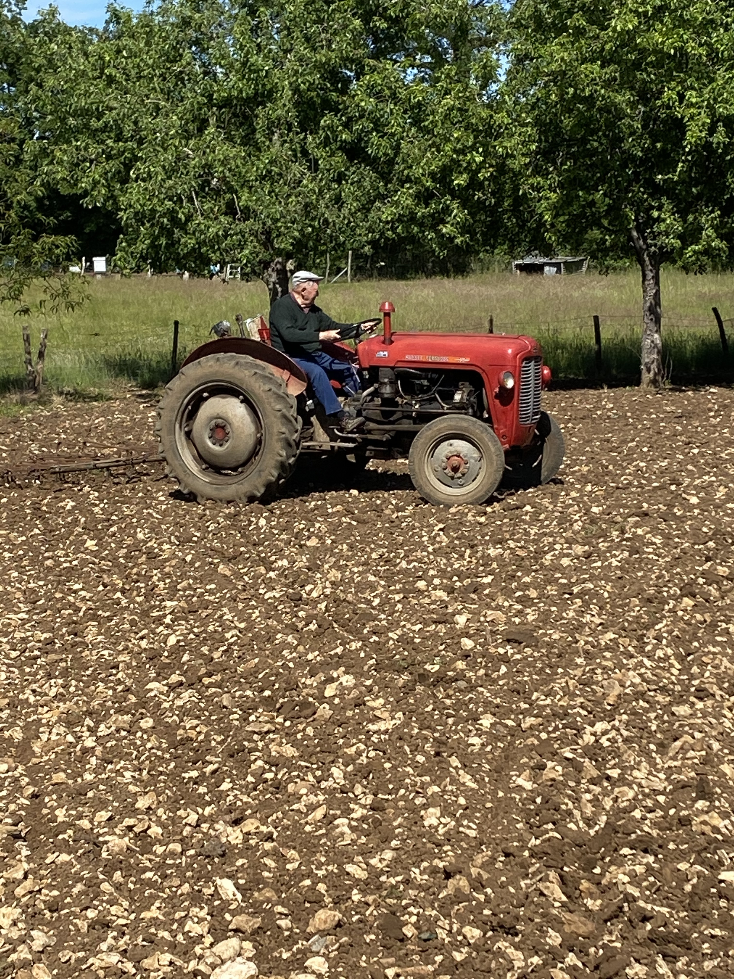 Img 0974 1 