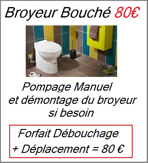 Débouchage sanibroyeur Alfortville