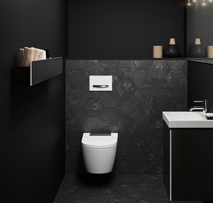 debouchage wc suspendu Nice