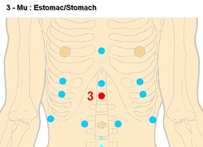 03 mu estomac stomach
