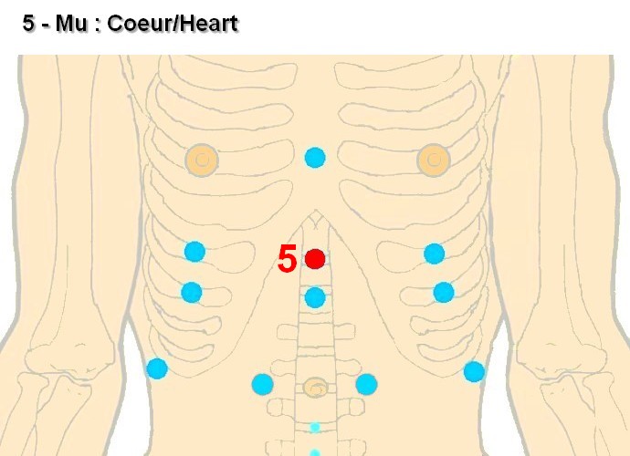 05 mu coeur heart