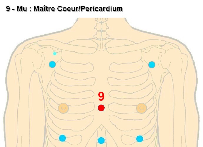 09 mu maitre coeur pericardium